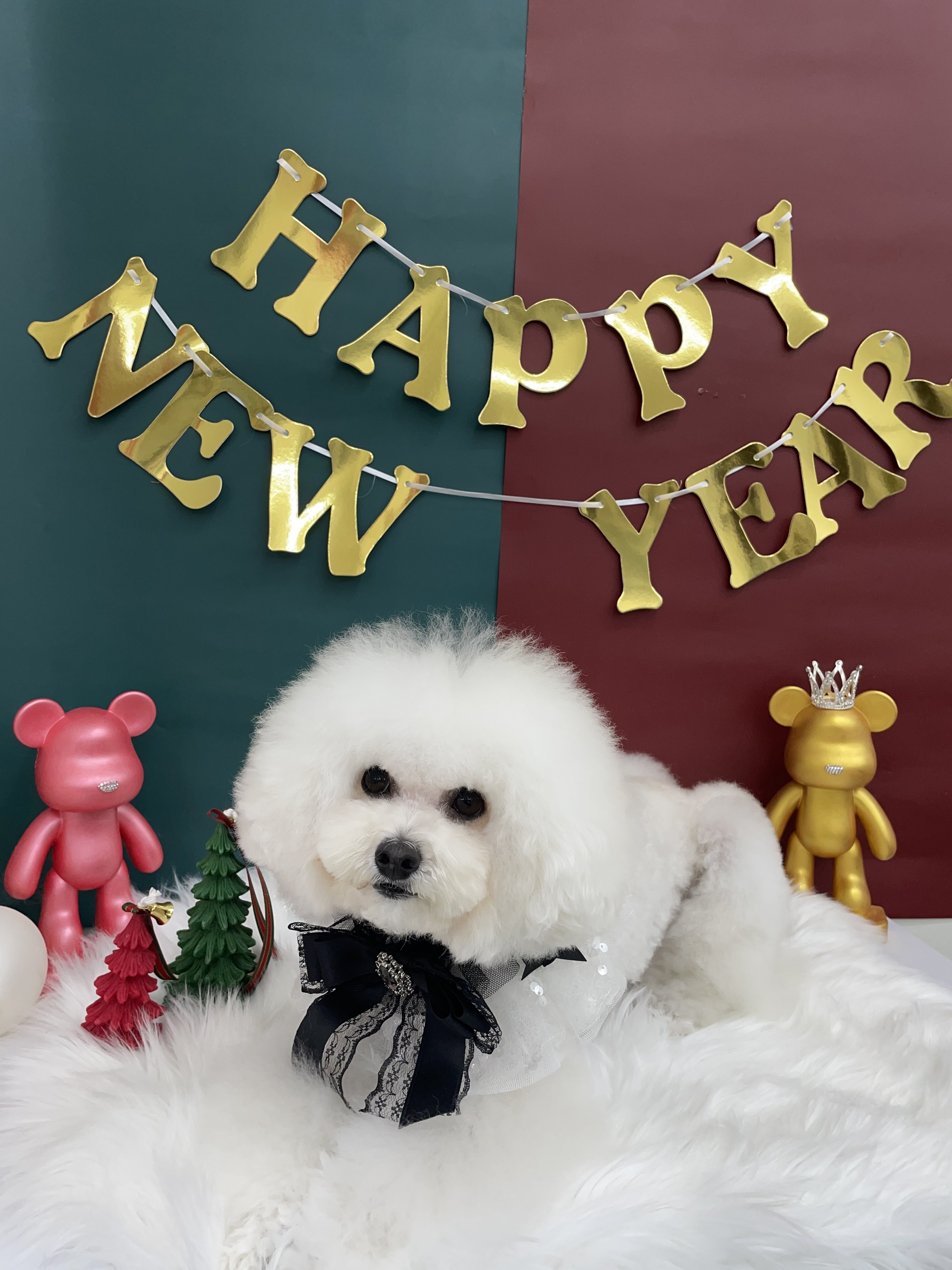 윤펫살롱 대표 이미지