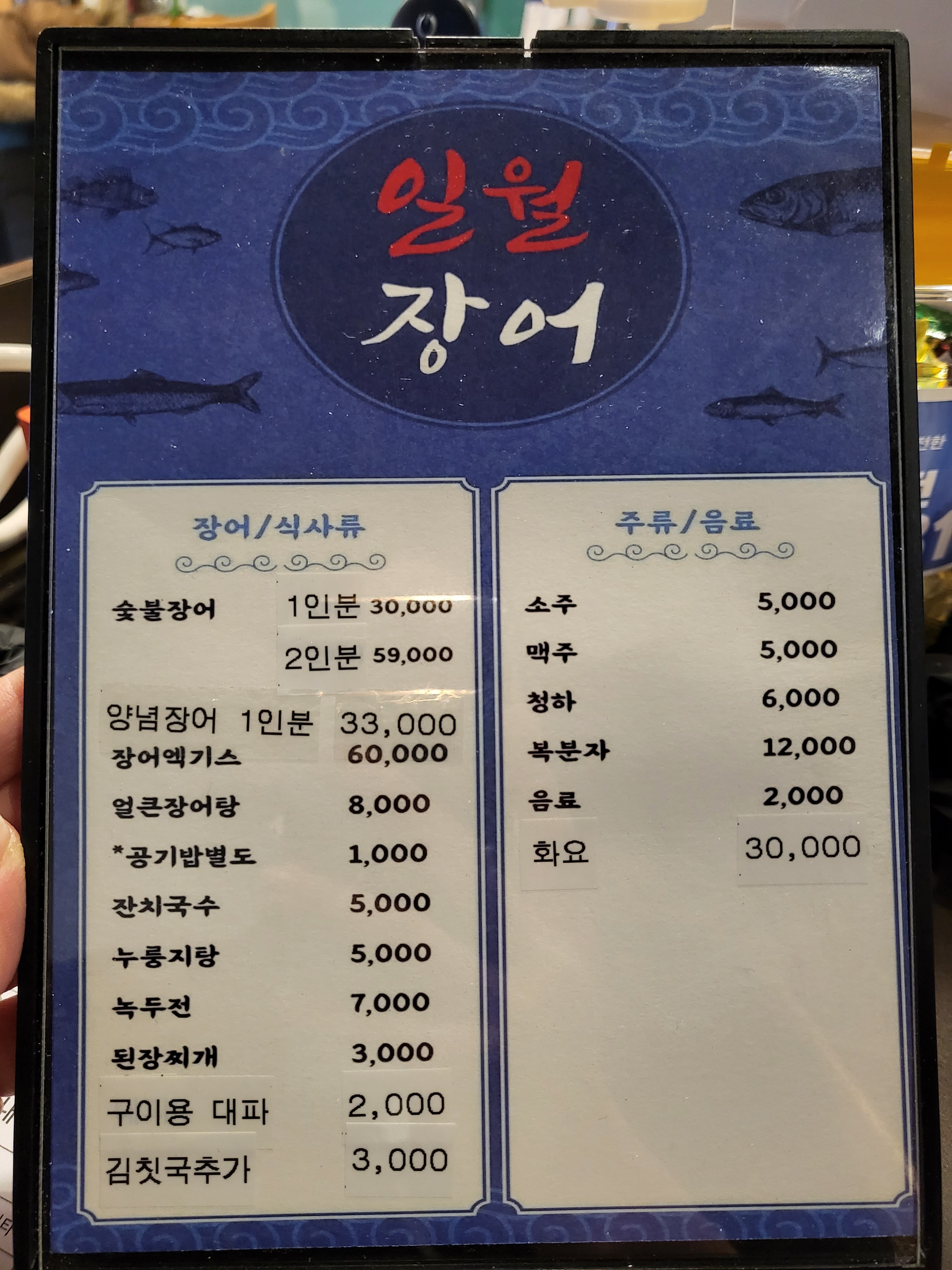 일월장어