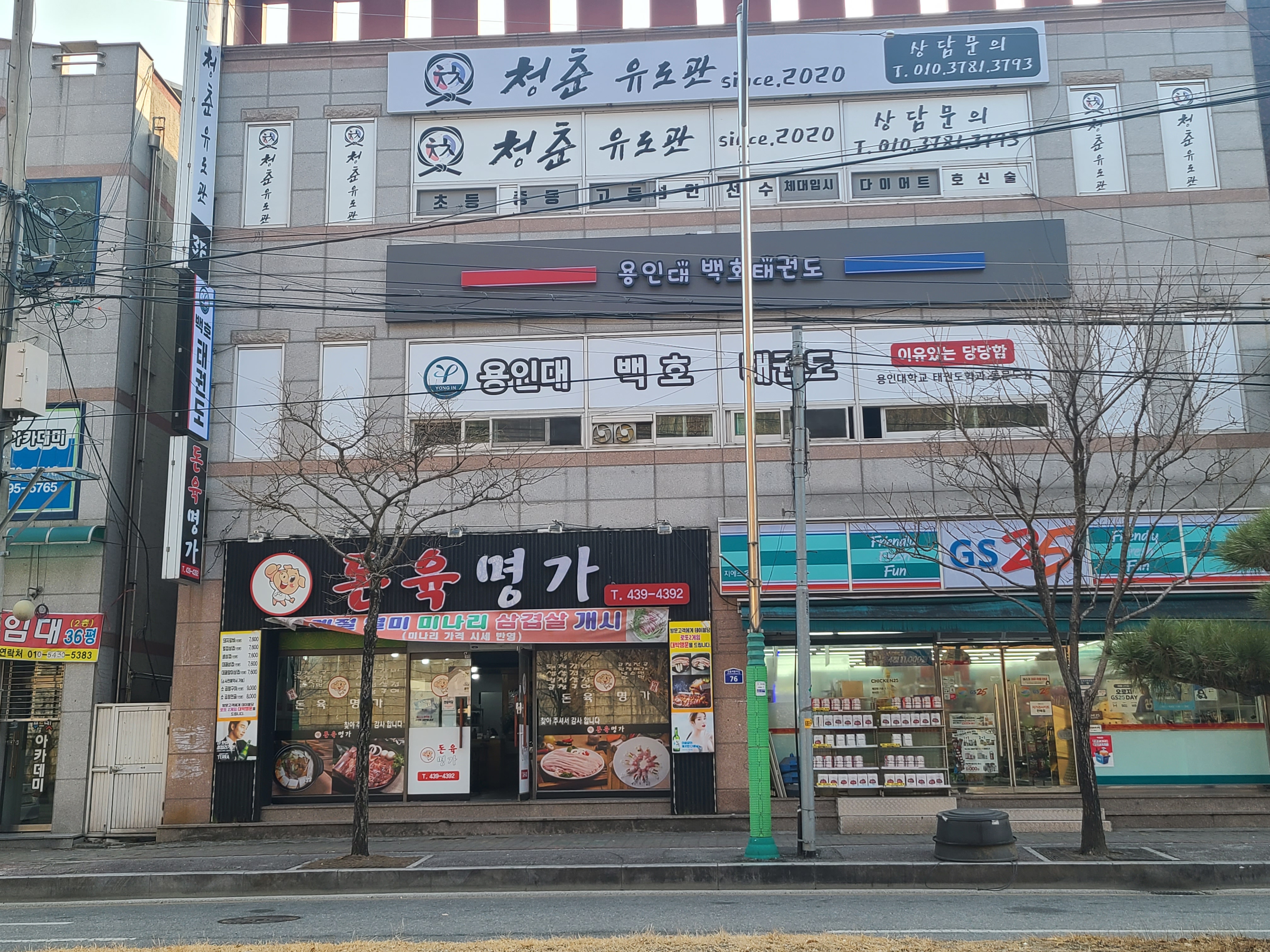 용인대백호태권도