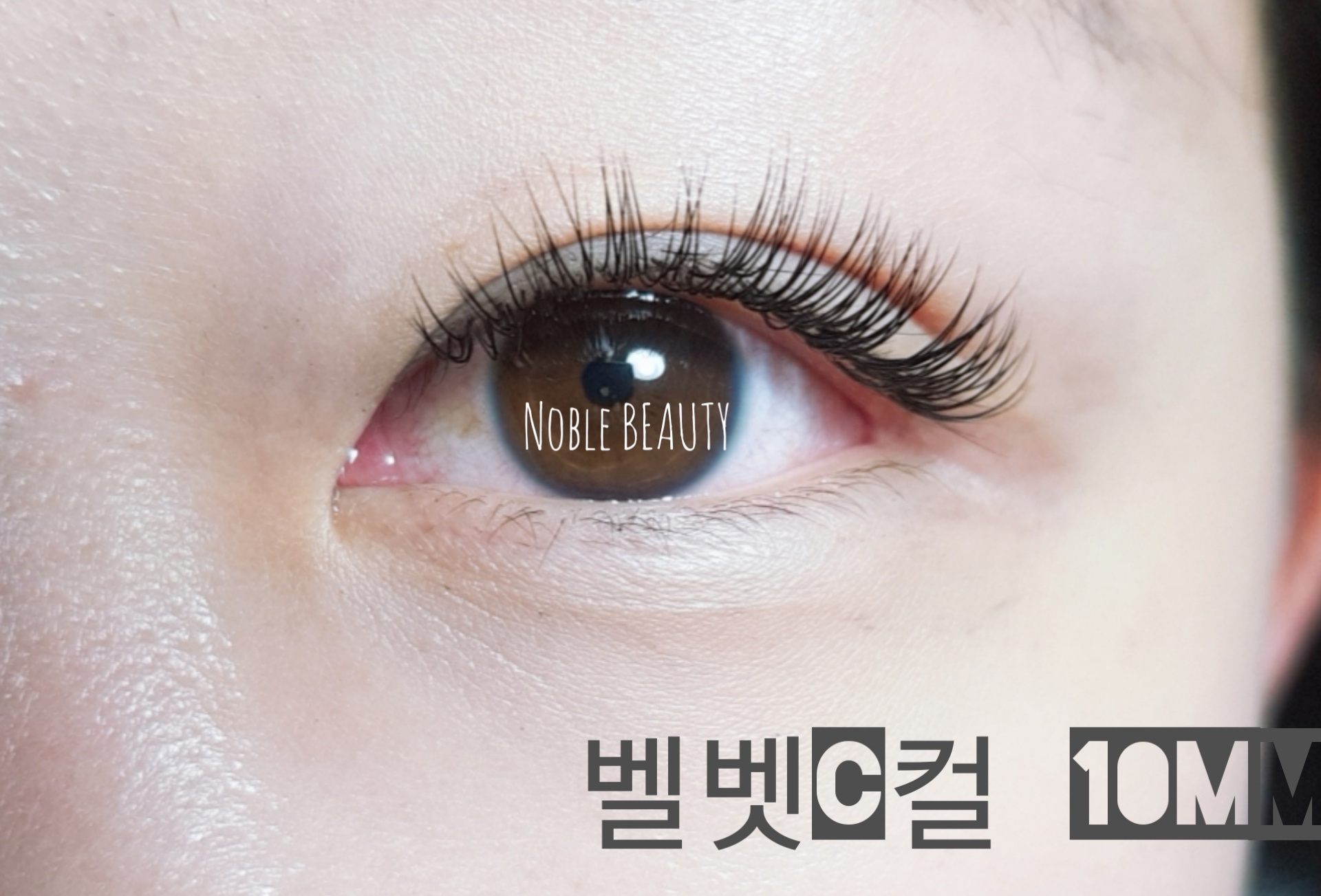 노블뷰티