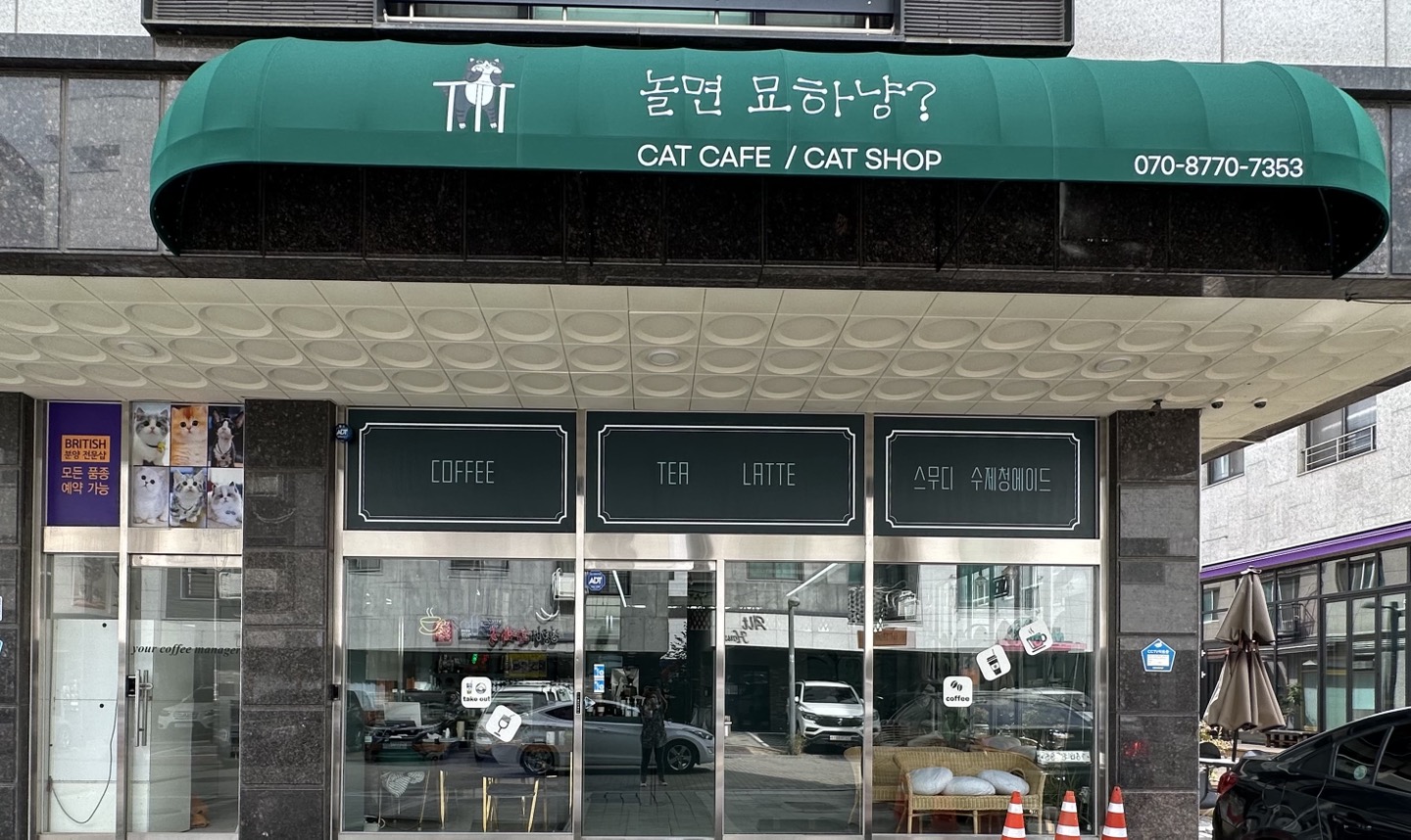 놀면묘하냥고양이카페