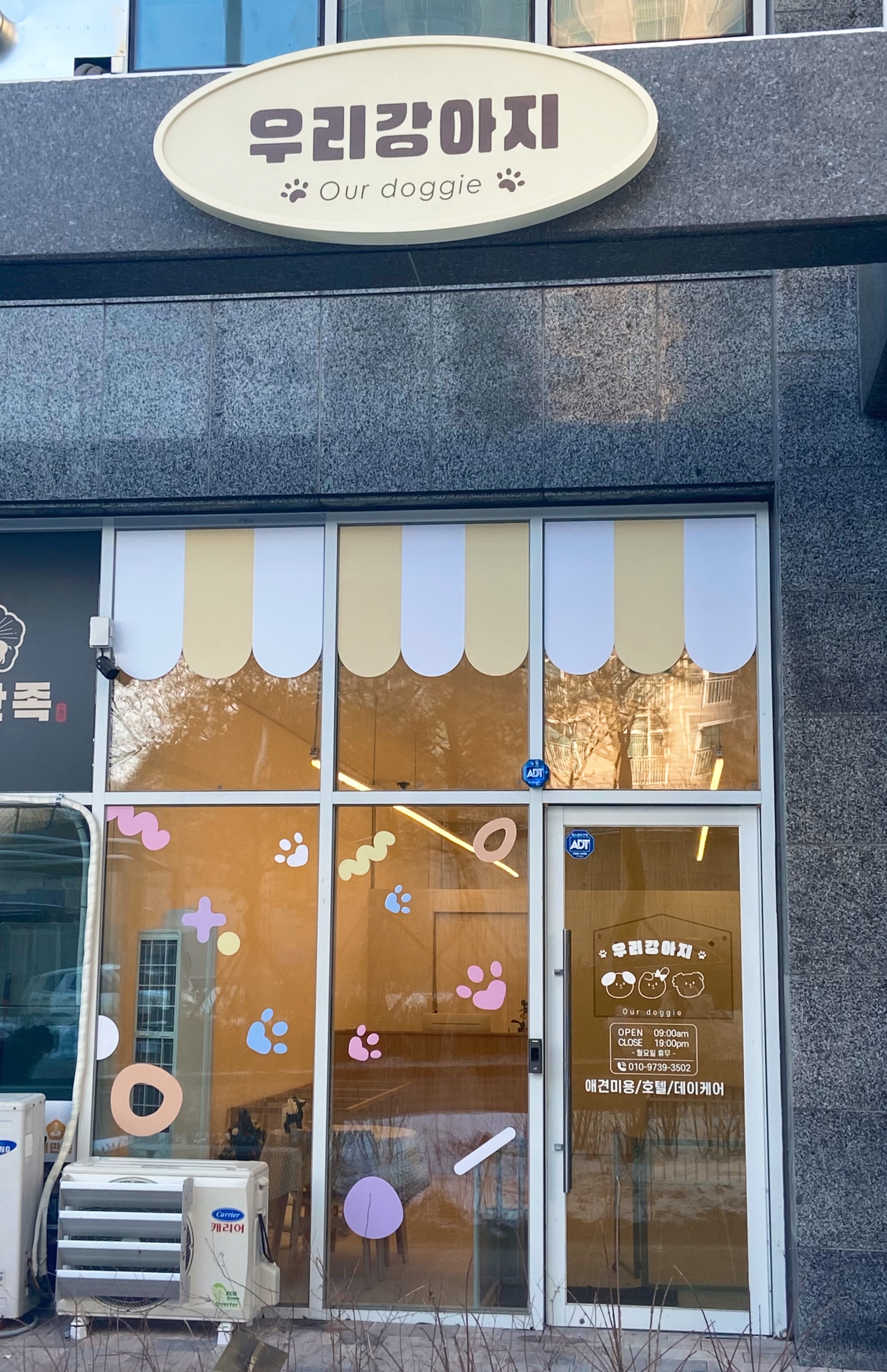 우리강아지 대표 이미지