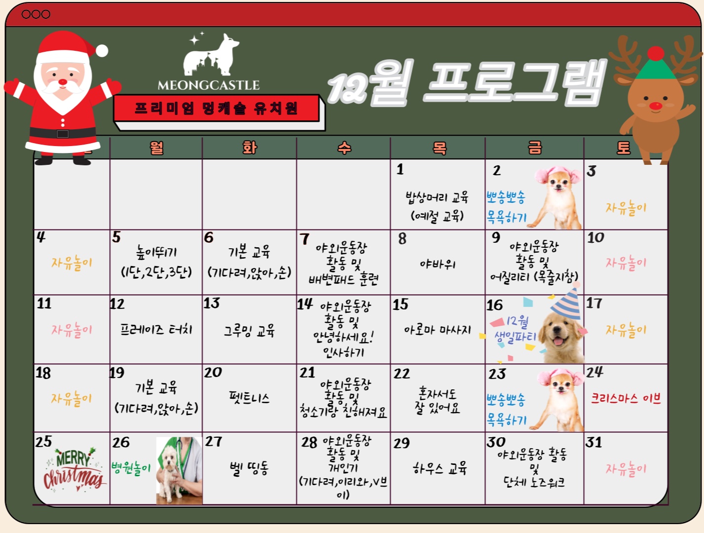 멍캐슬 프리미엄 반려견센터 대표 이미지