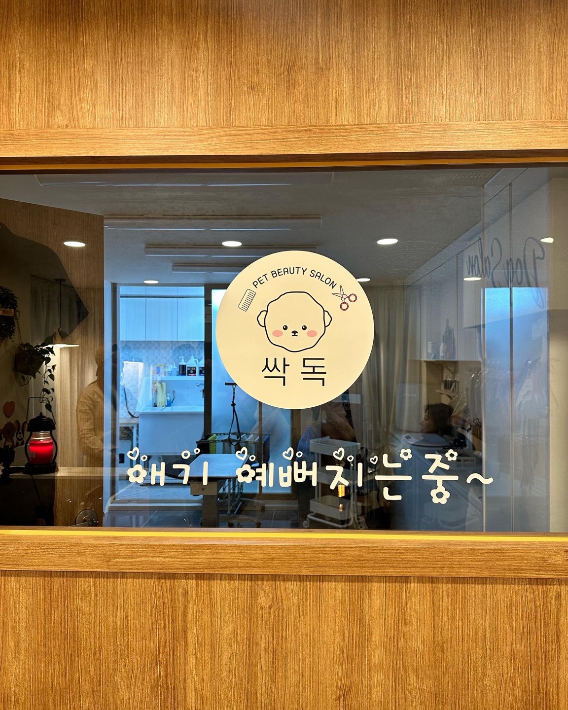 싹독 대표 이미지