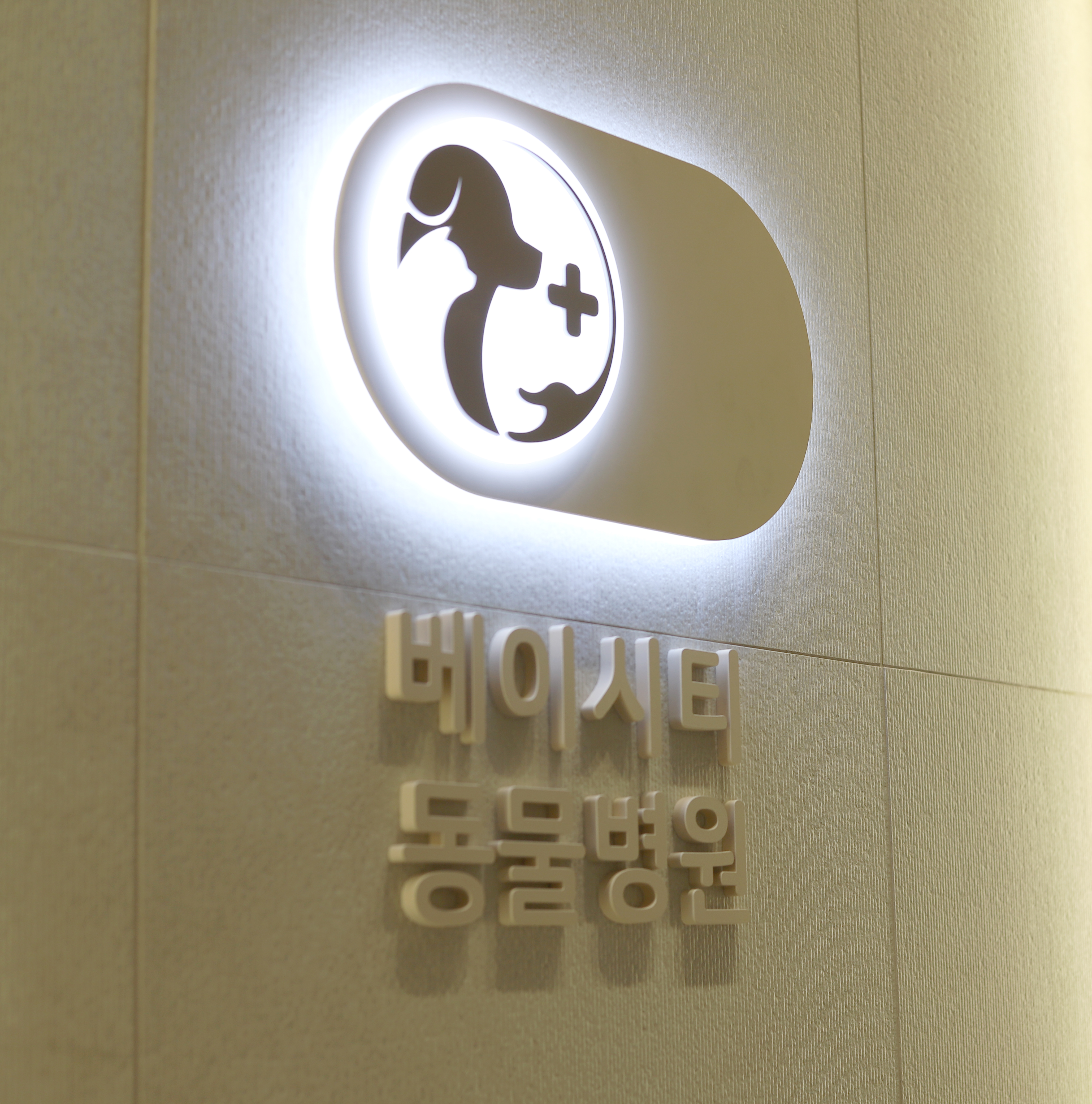 베이시티동물병원