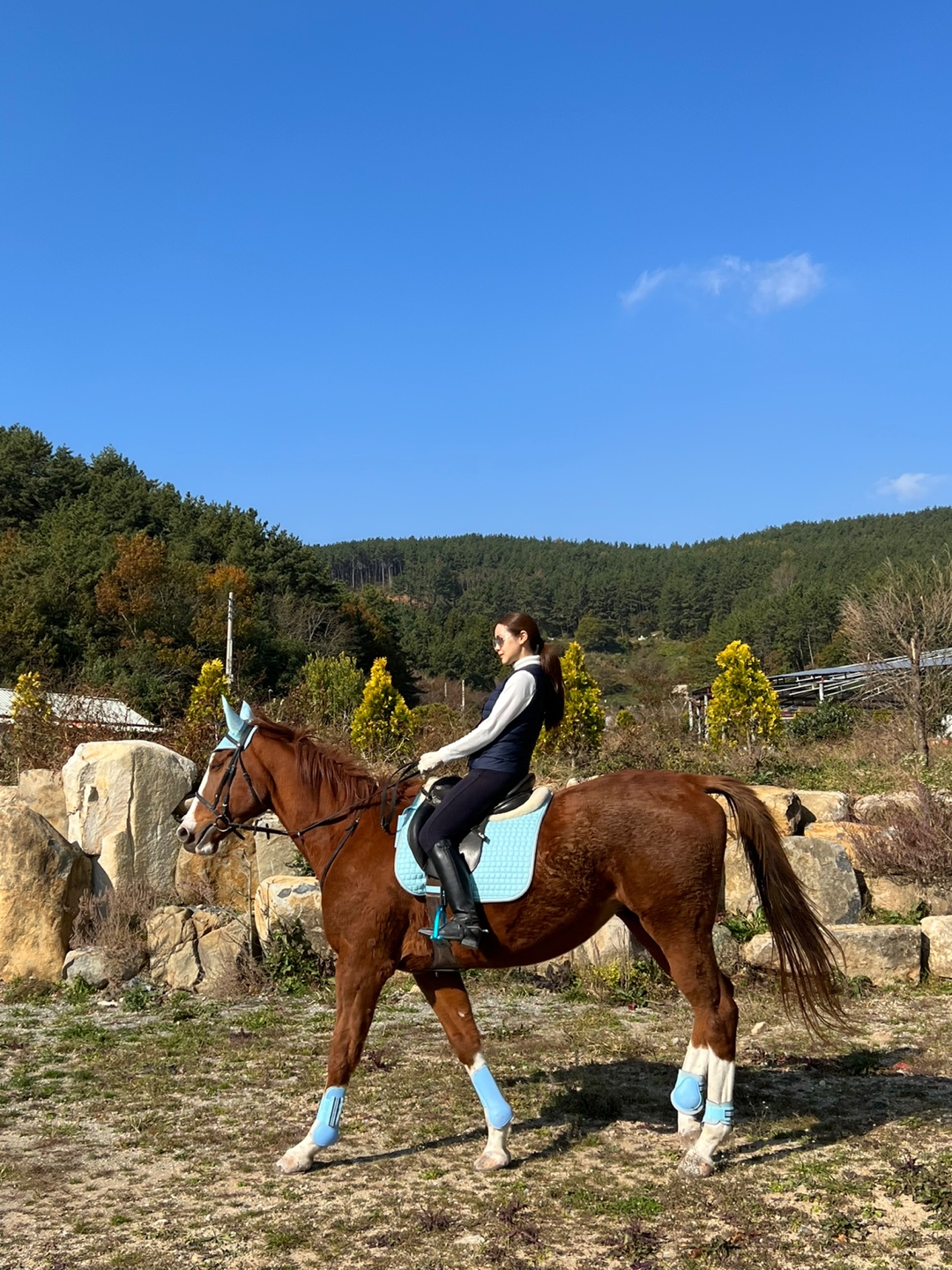 다솔승마장