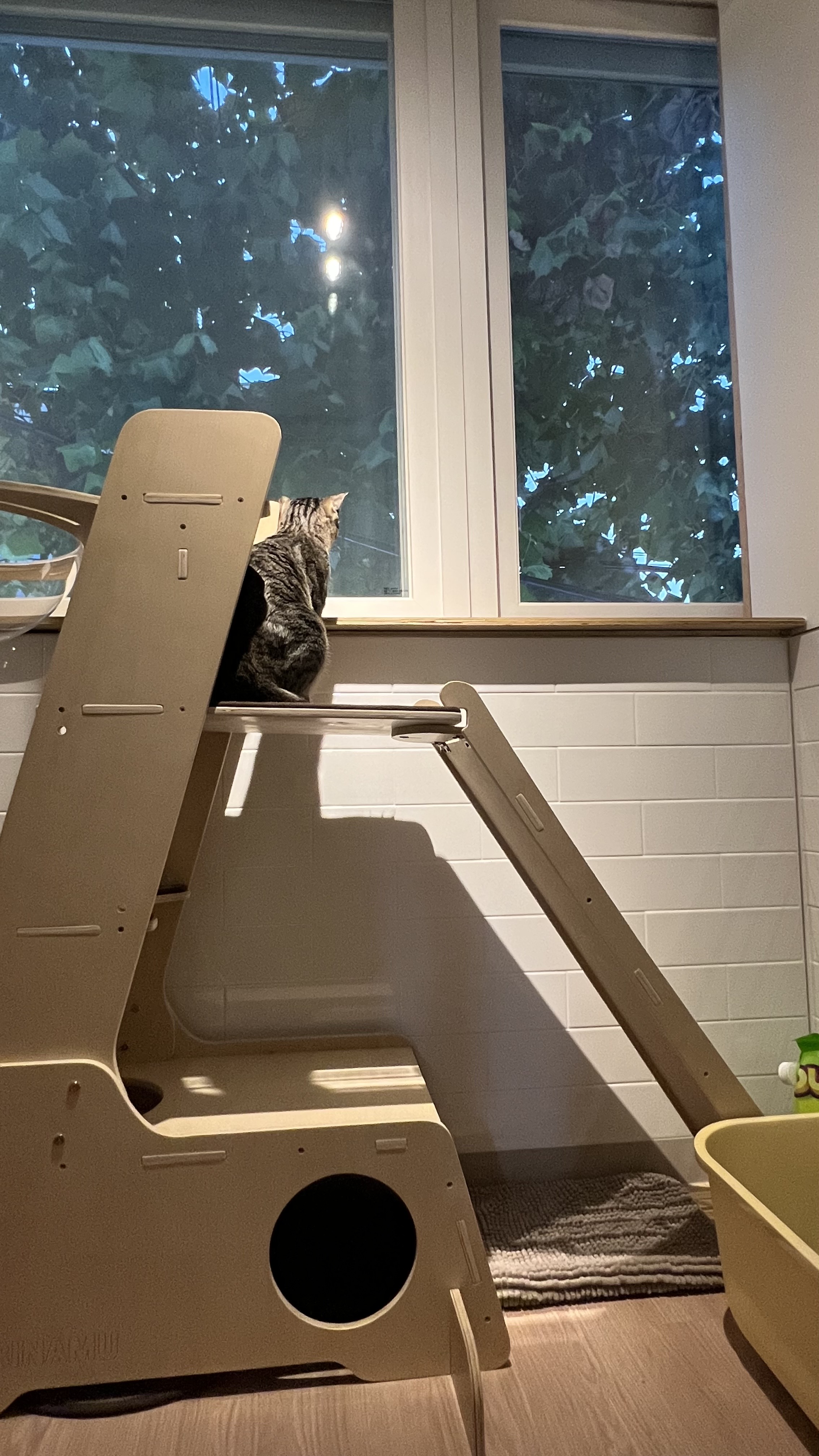 고양이미용&호텔 우연히캣 대표 이미지