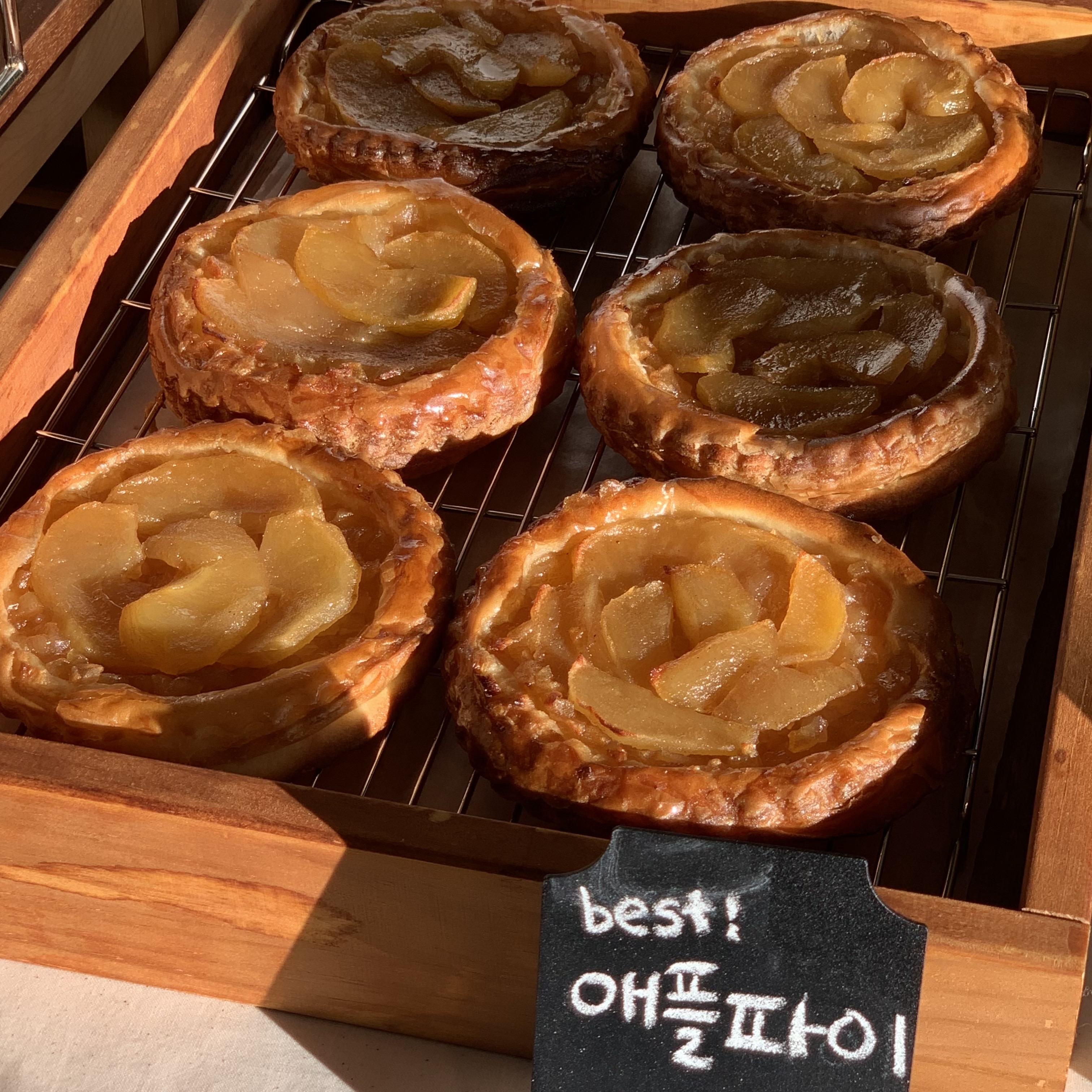 애플문 경상 애견맛집
