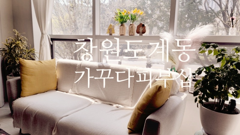 가꾸다피부샵