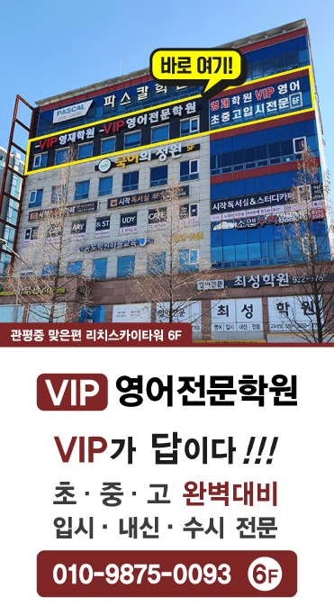 브이아이피