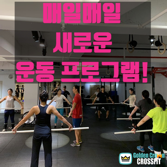 골든크라운크로스핏 서대문역 대표 이미지