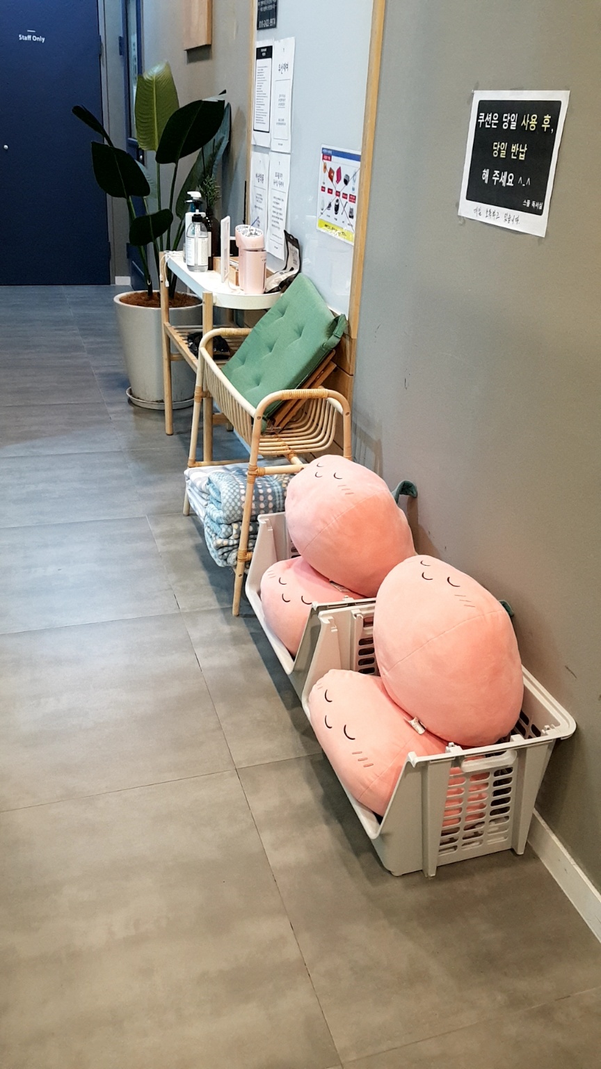 업체사진