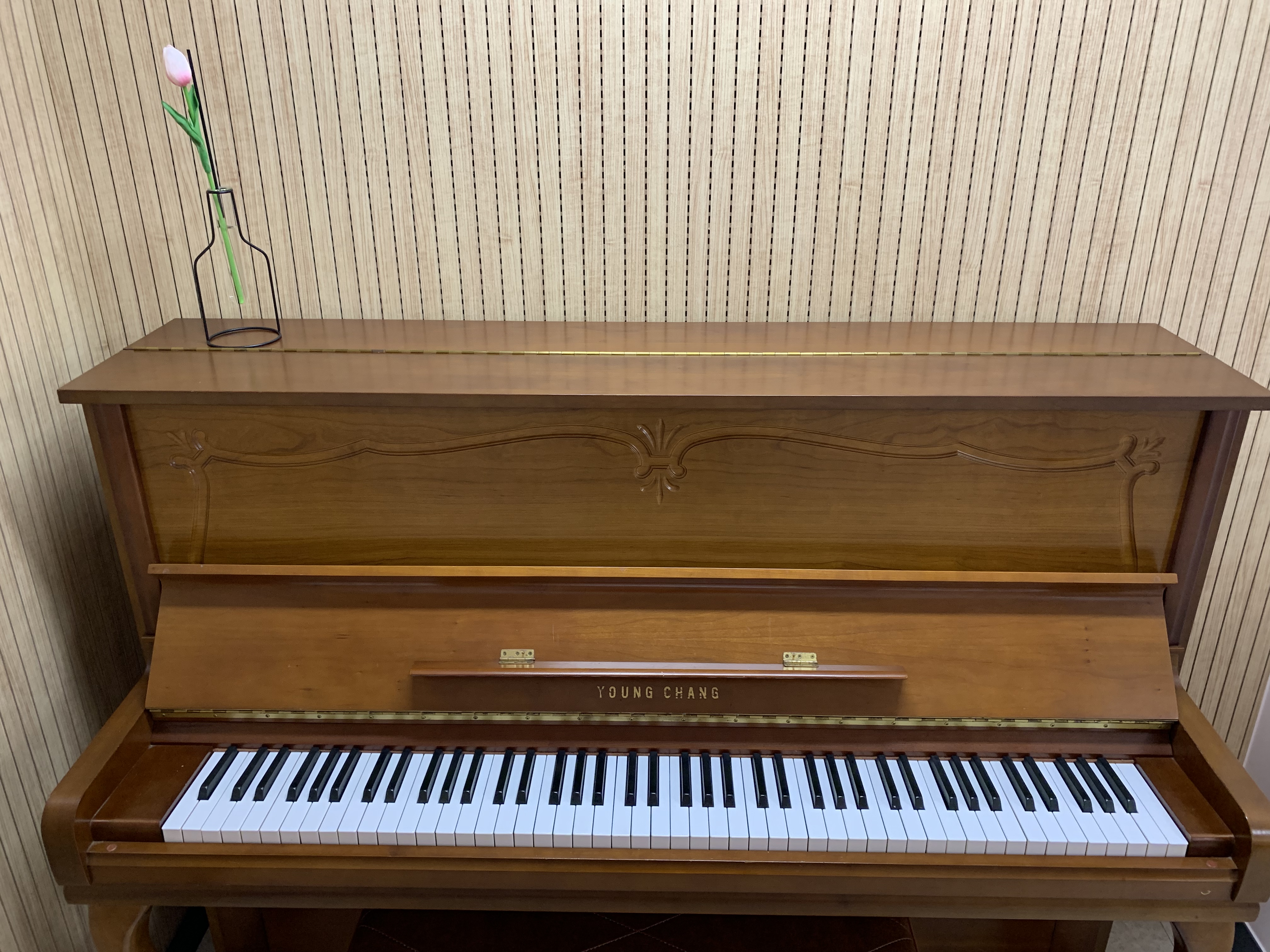 5번째 스튜디오 사진