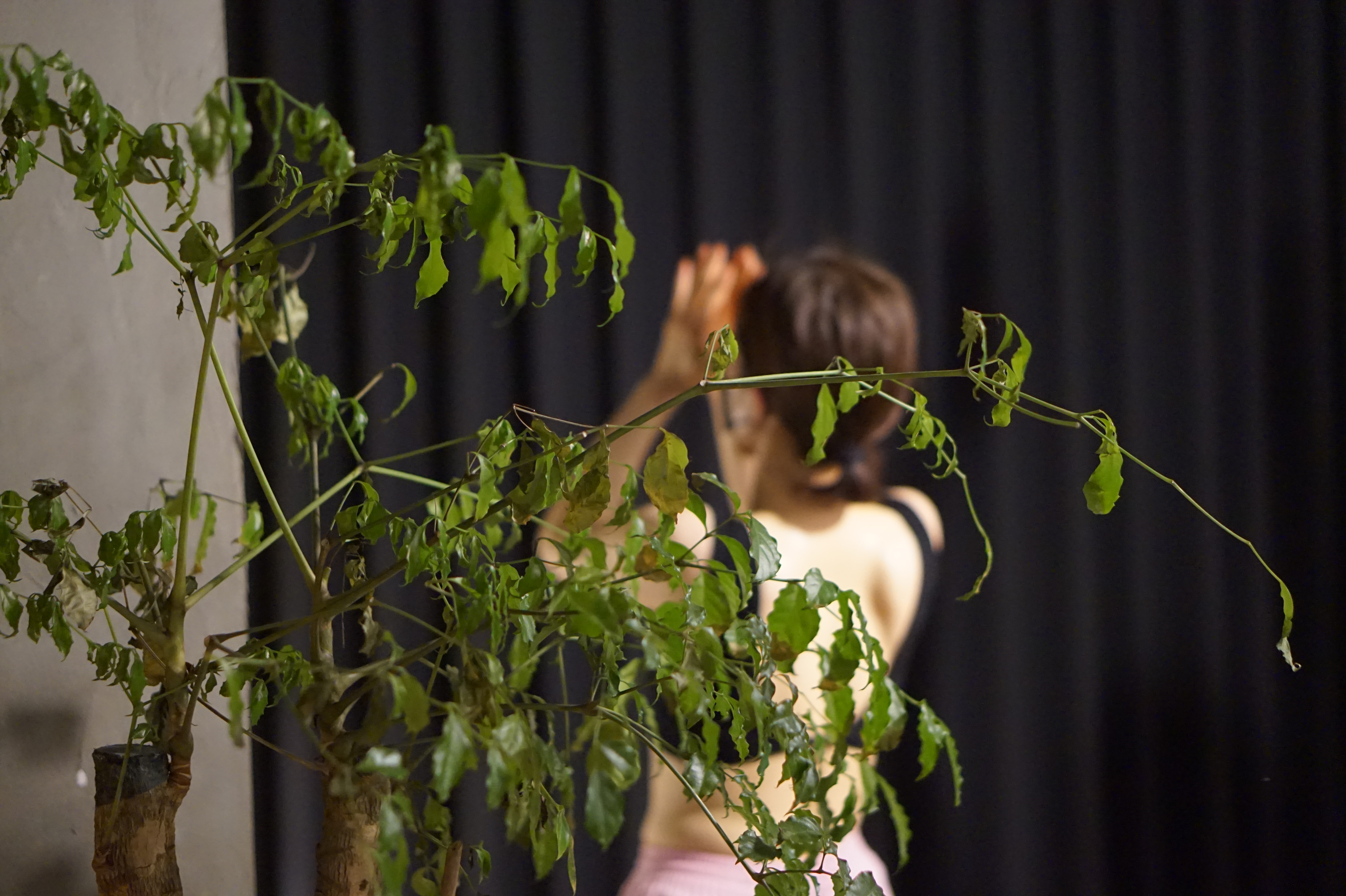 롯지요가 대표 이미지