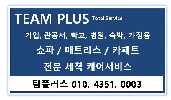 팀플러스