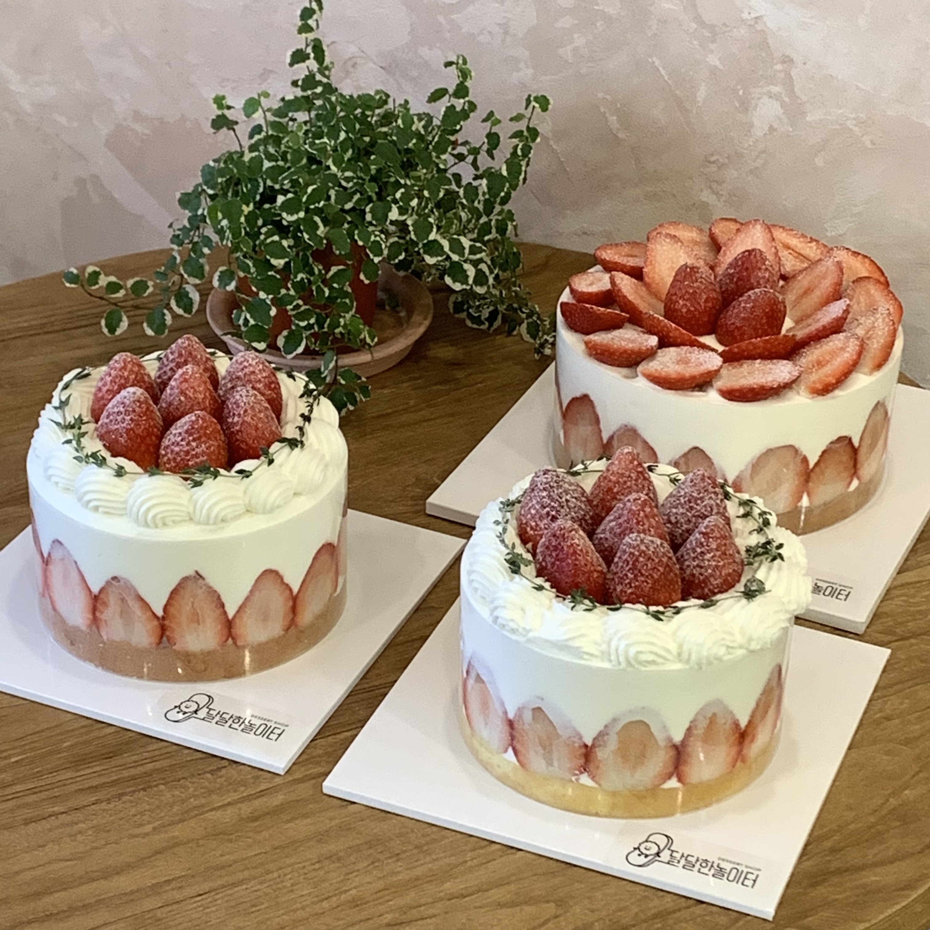 달달한놀이터 전포점
