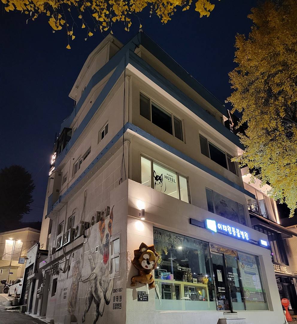 이태원동물병원 대표 이미지