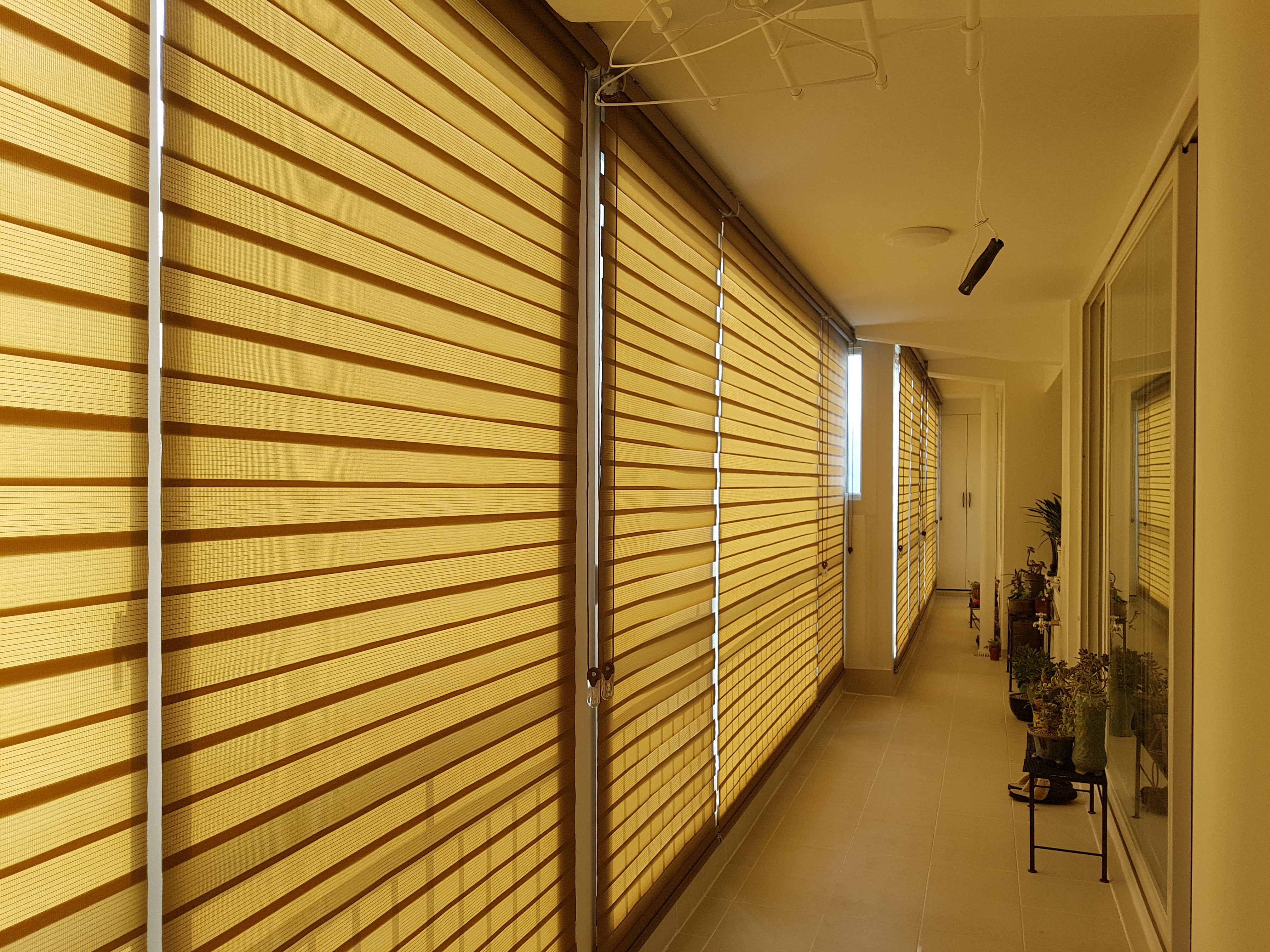 지니블라인드 대표 이미지