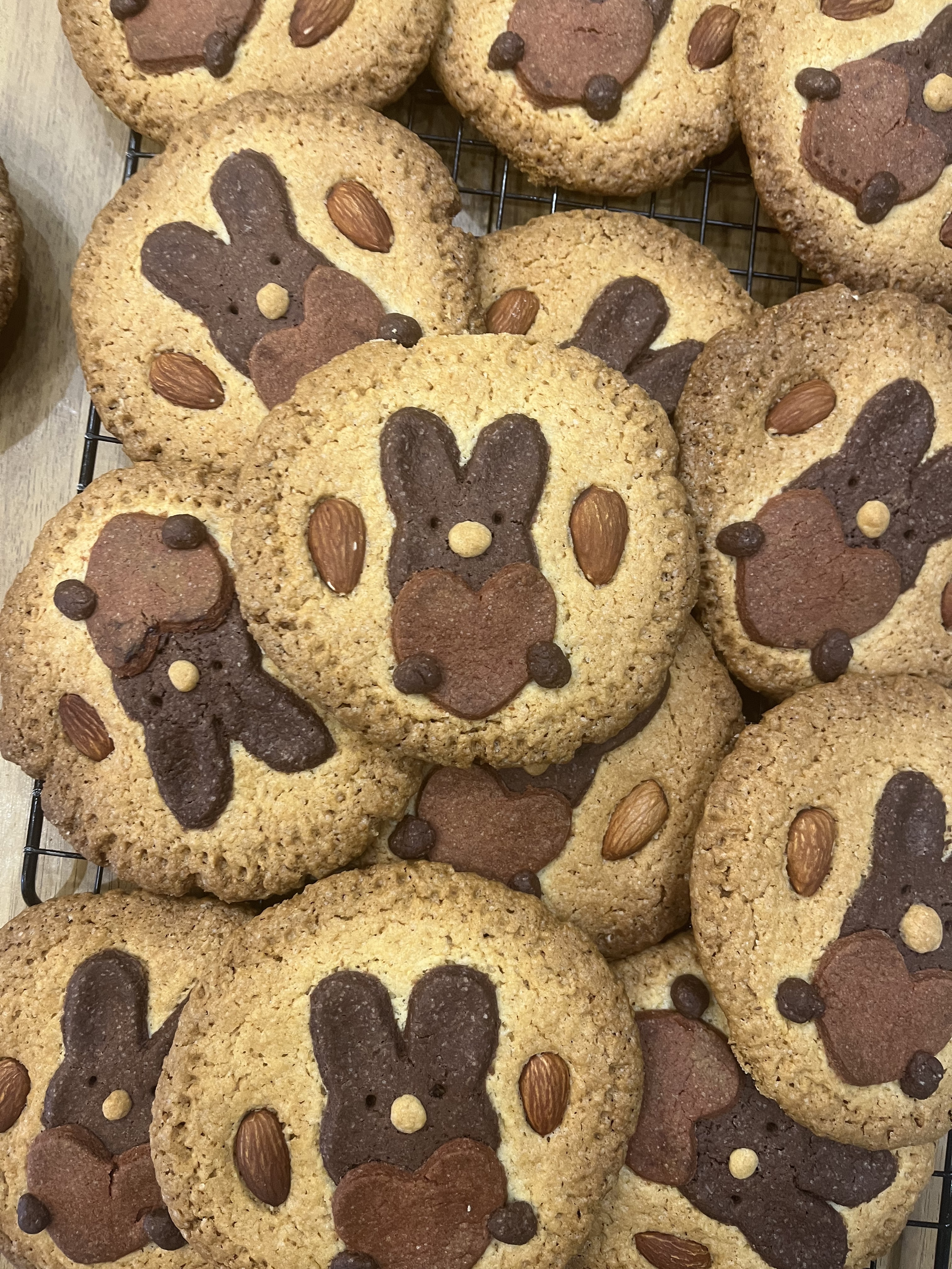 마이 꼼빠뉴
