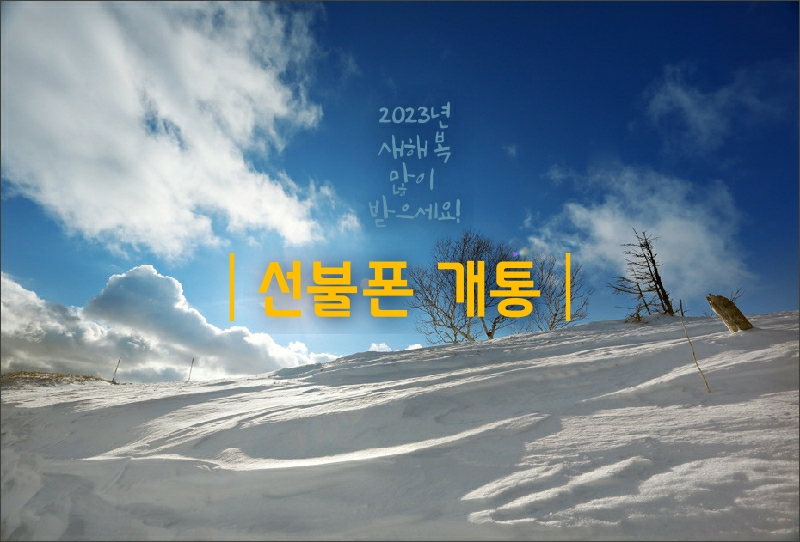 부산선불폰&선불유심 출장개통점