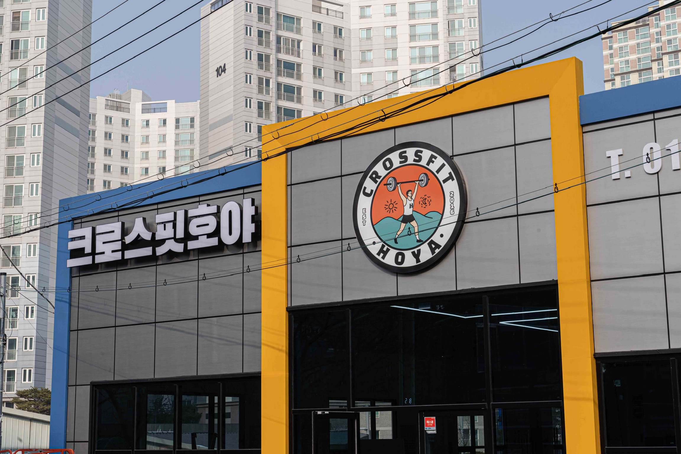 크로스핏호야