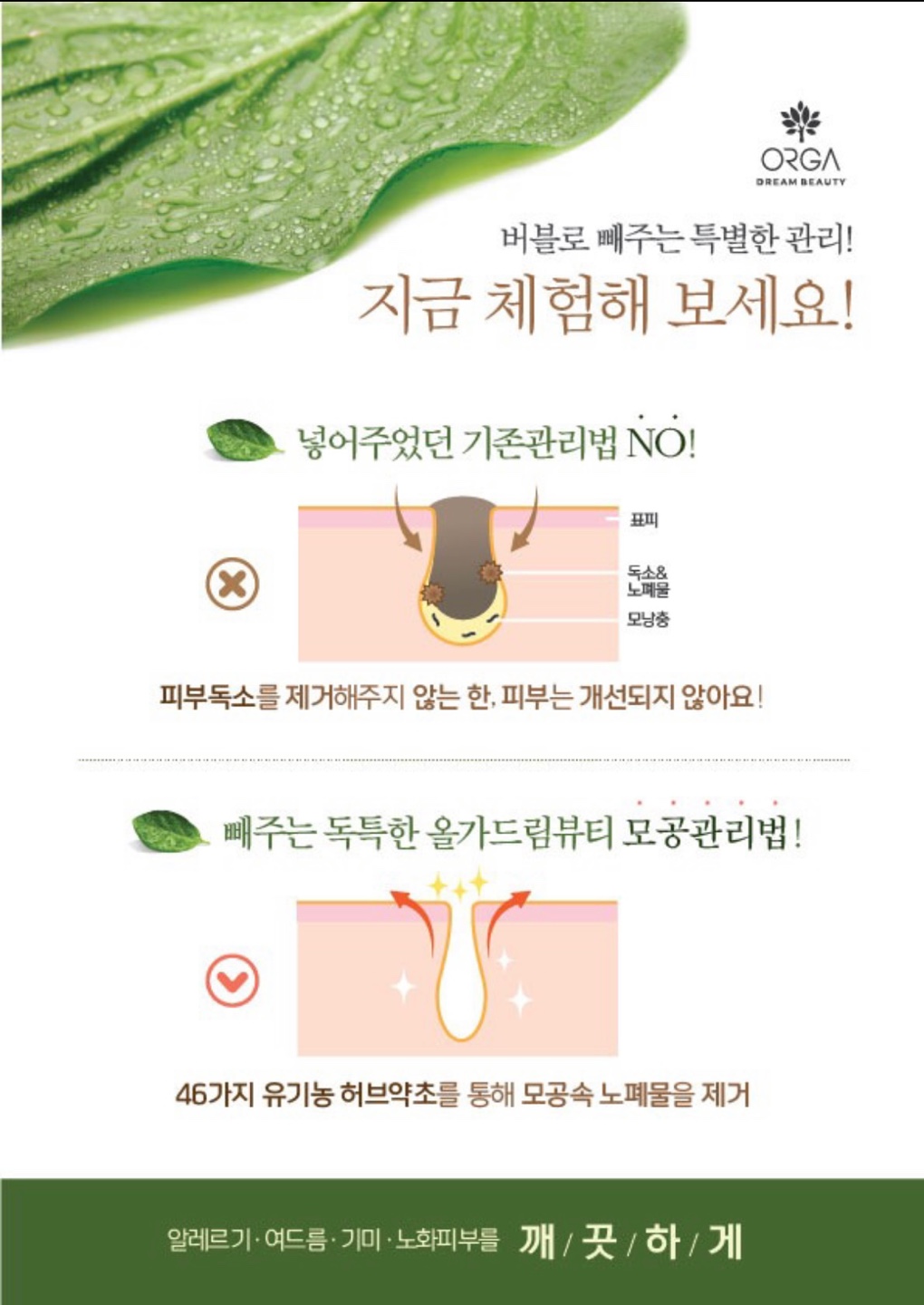 올가드림뷰티