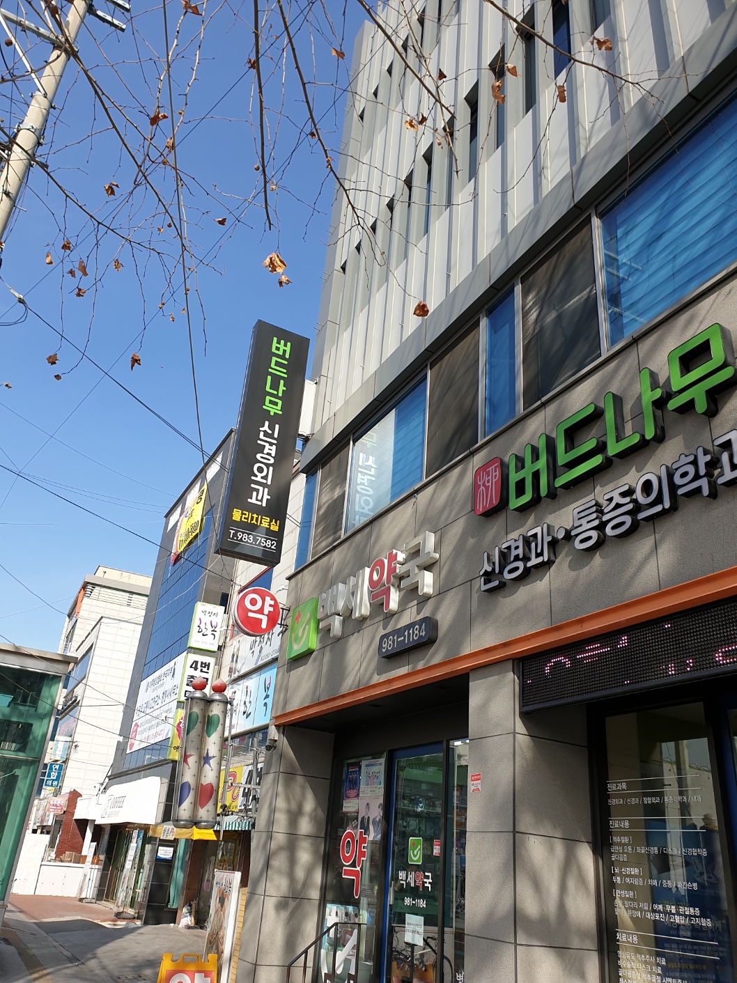 버드나무신경외과의원
