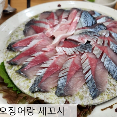 오징어랑세꼬시 오리역 사진 8