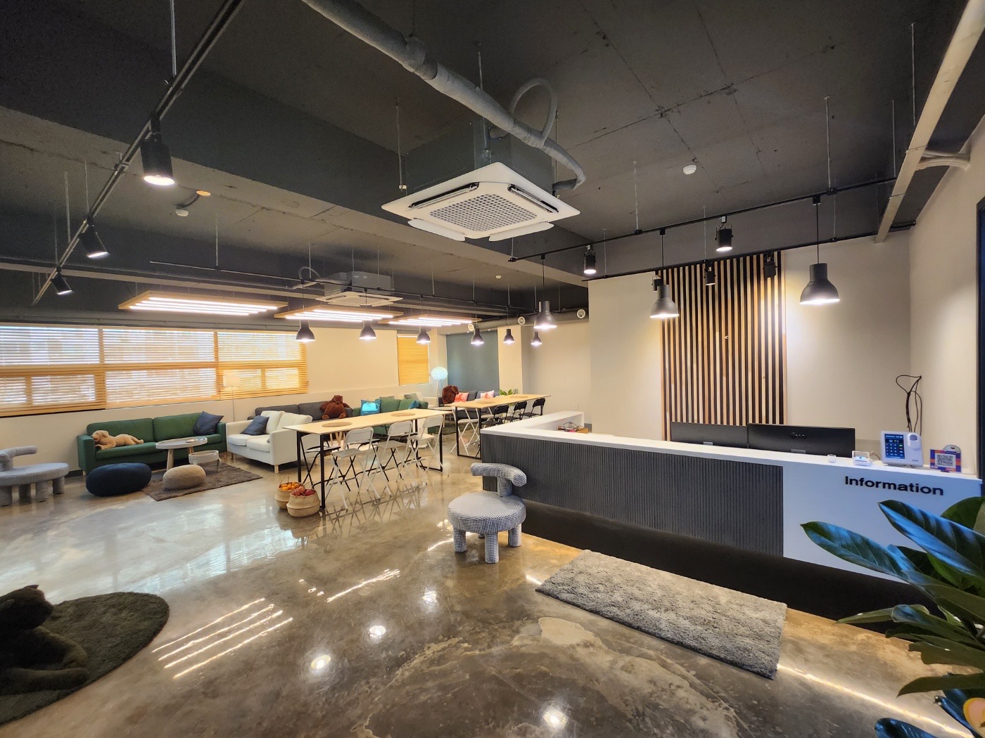 아이비 스터디카페