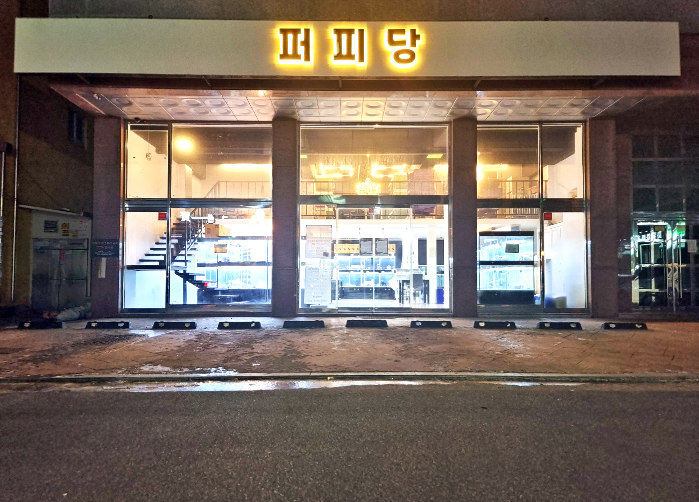 퍼피당강아지 안산본점
