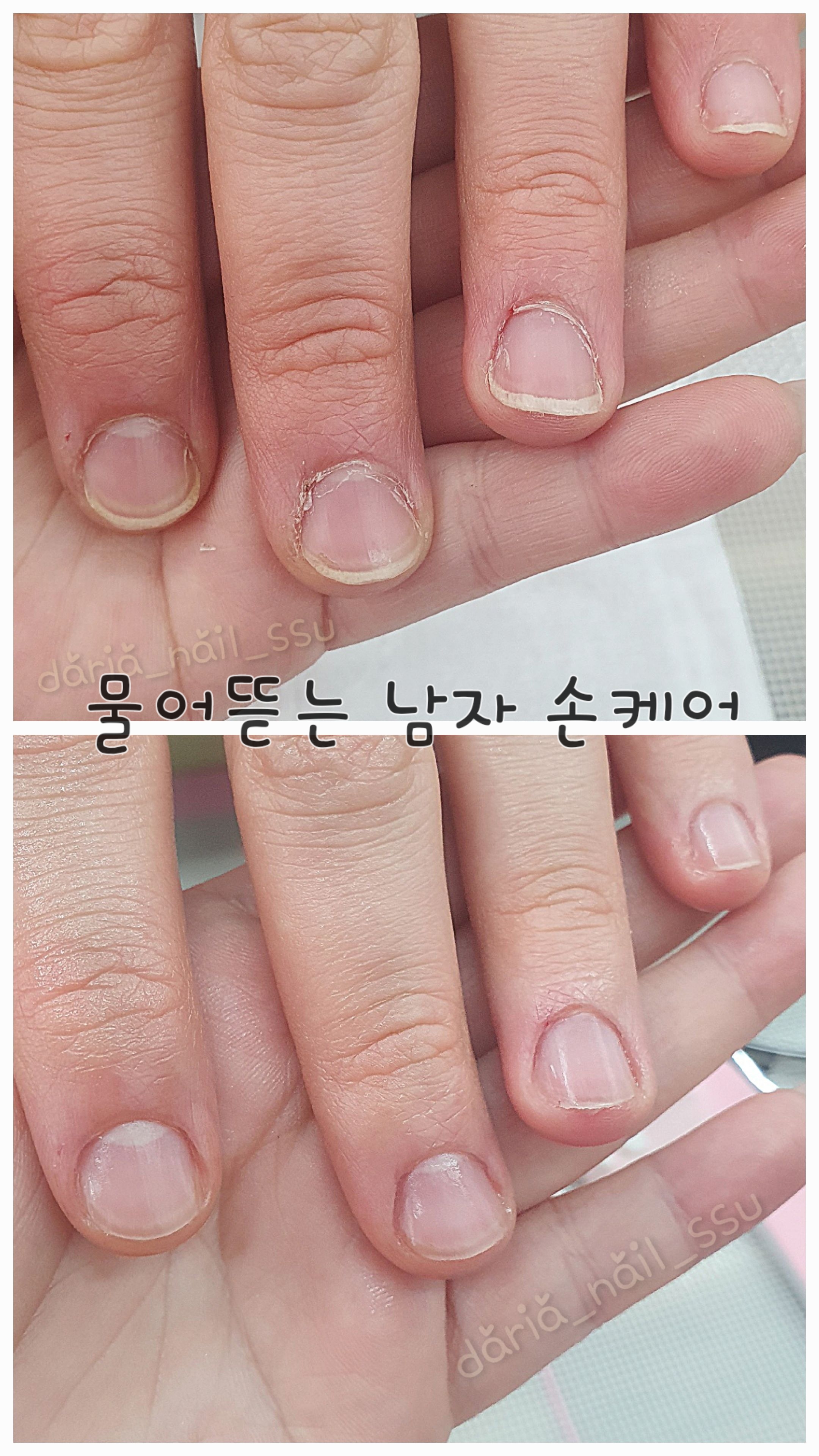 다리아네일 대표 이미지