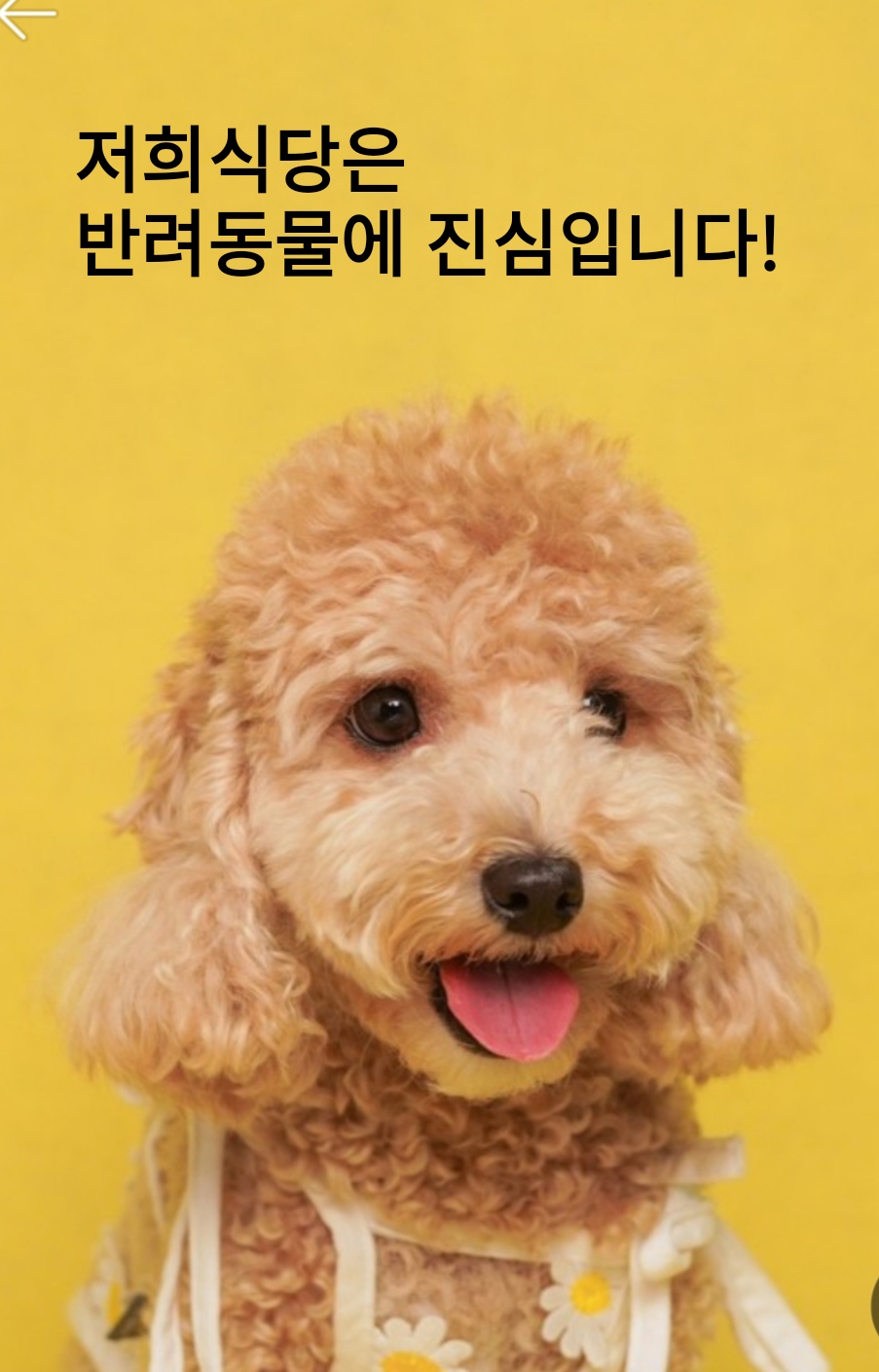 산방산해물라면오빠네