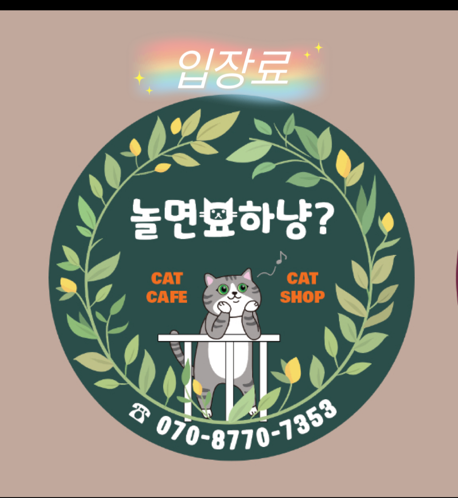 놀면묘하냥고양이카페