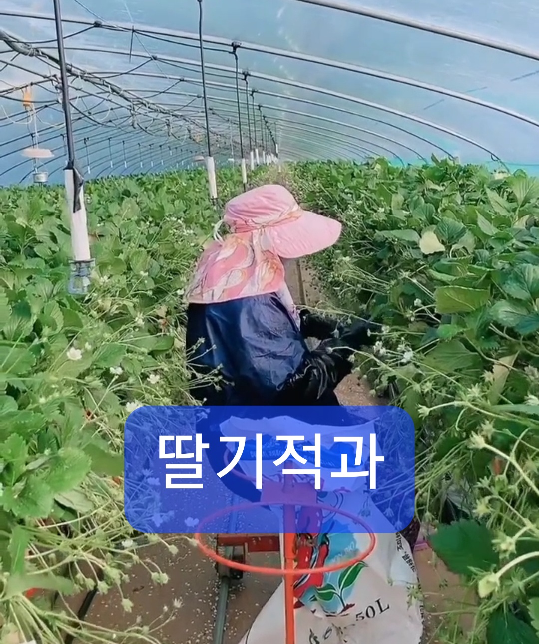 한마음인력