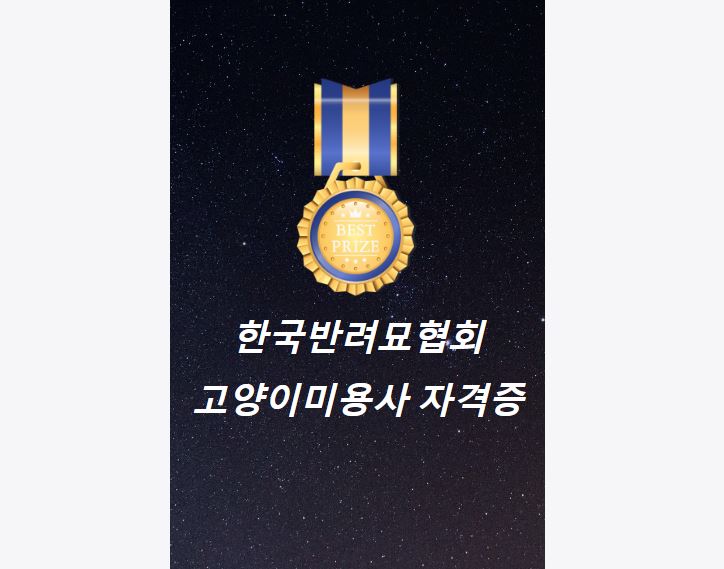 한국반려묘협회 대표 이미지