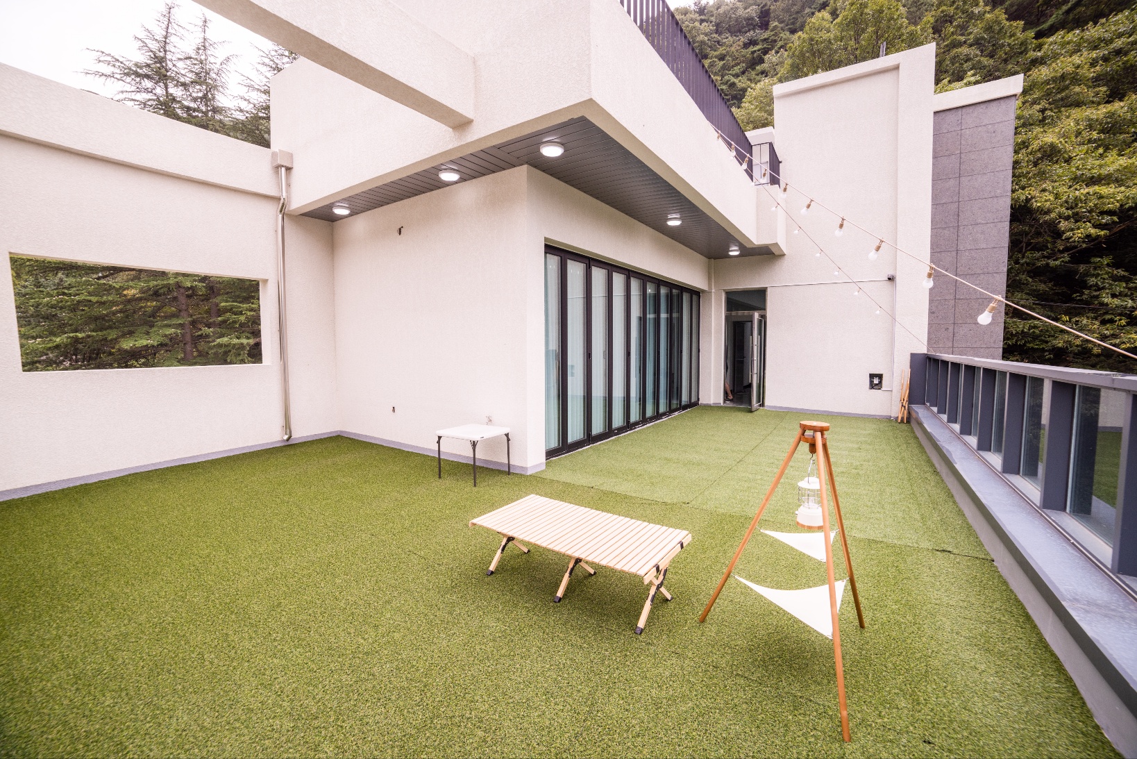 666도그플레이 대표 이미지