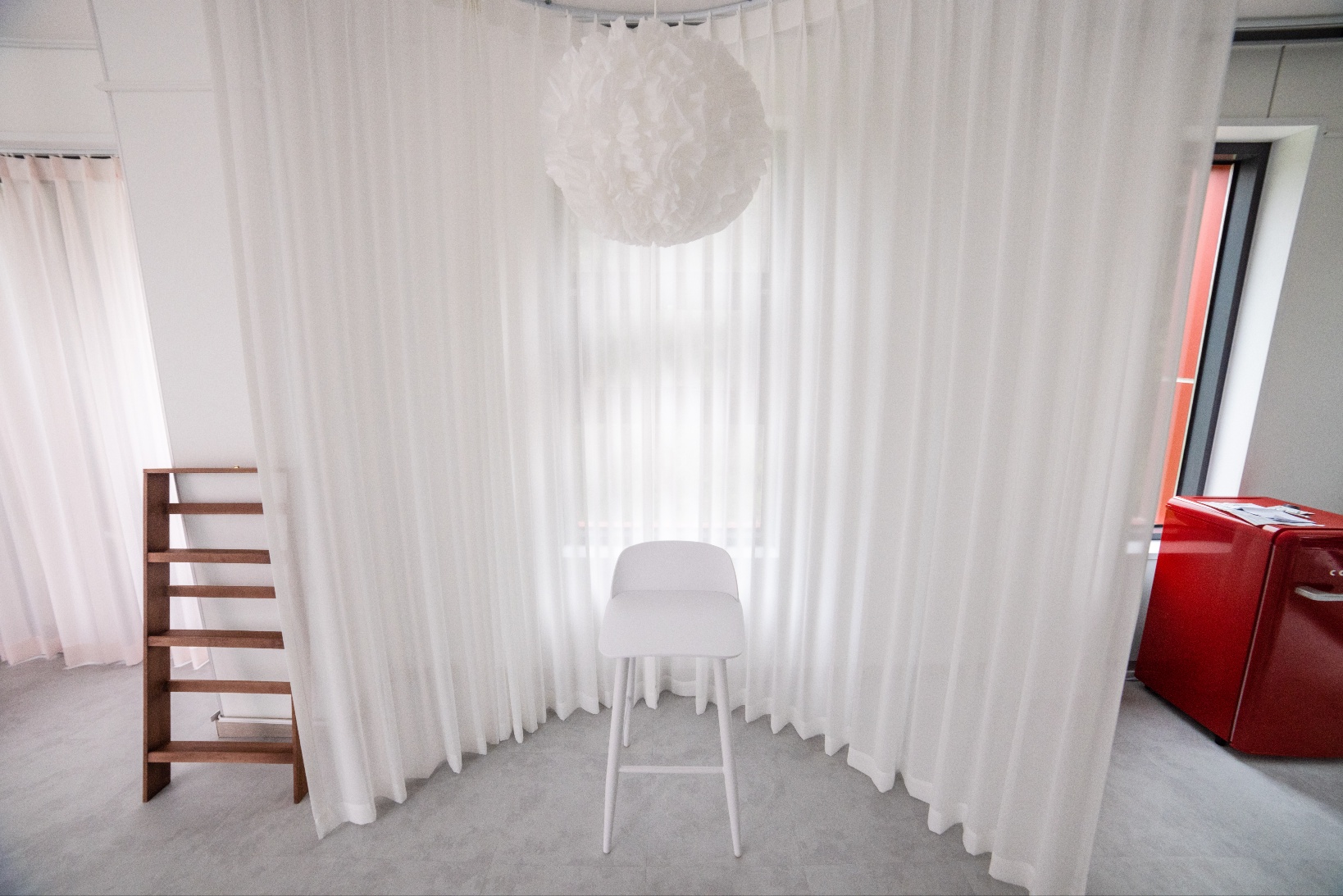 666도그플레이 대표 이미지