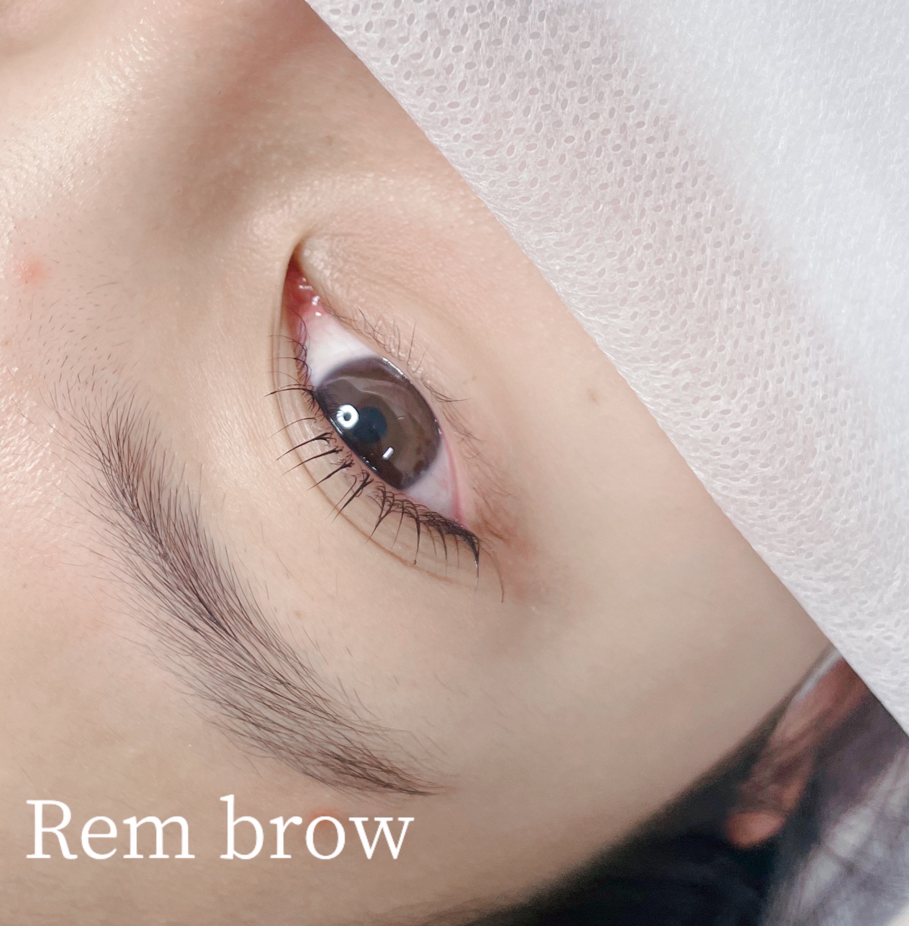 렘브로우 대표 이미지