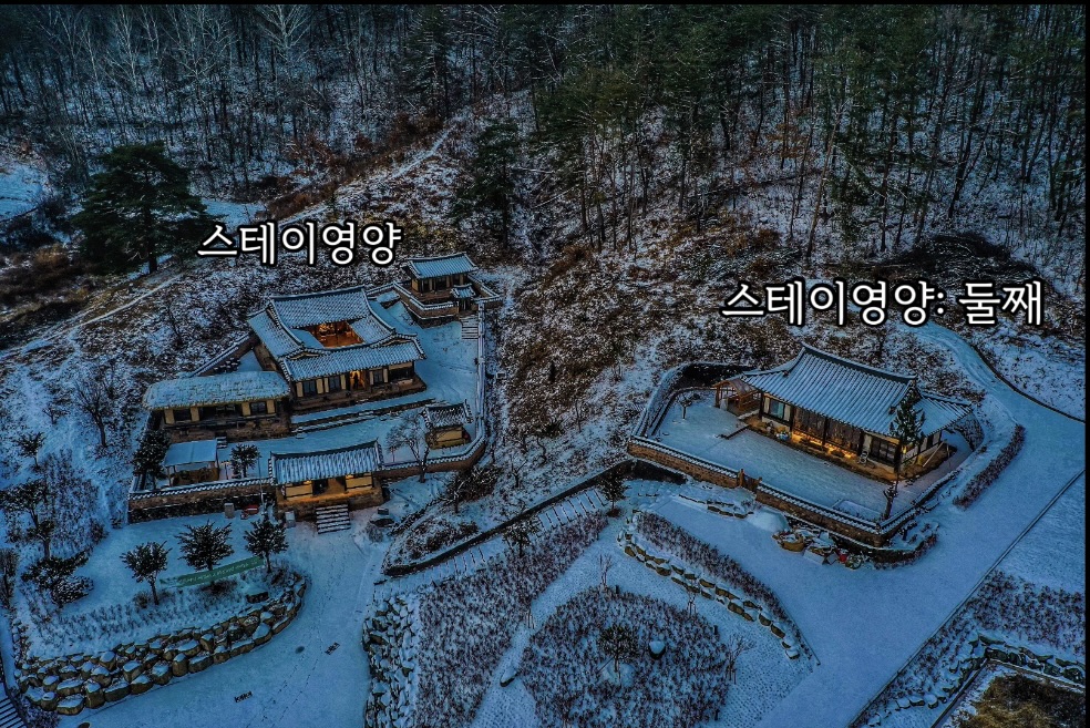 스테이영양 3