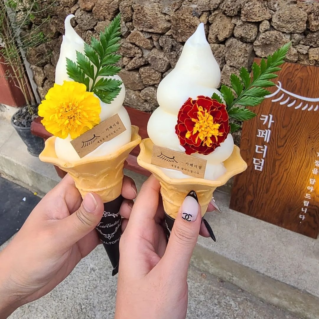 카페더덤