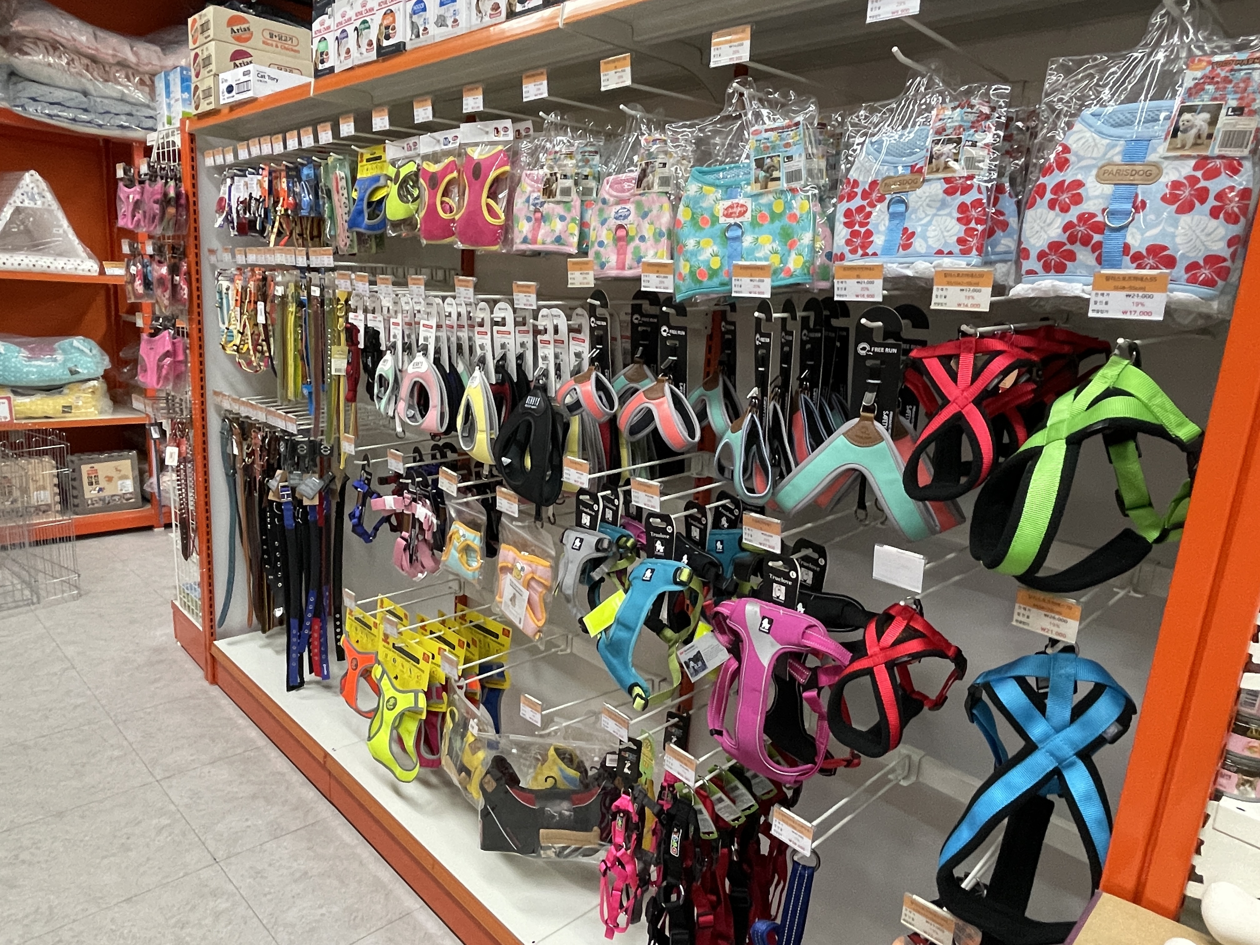 펫클럽 광주쌍령점 대표 이미지