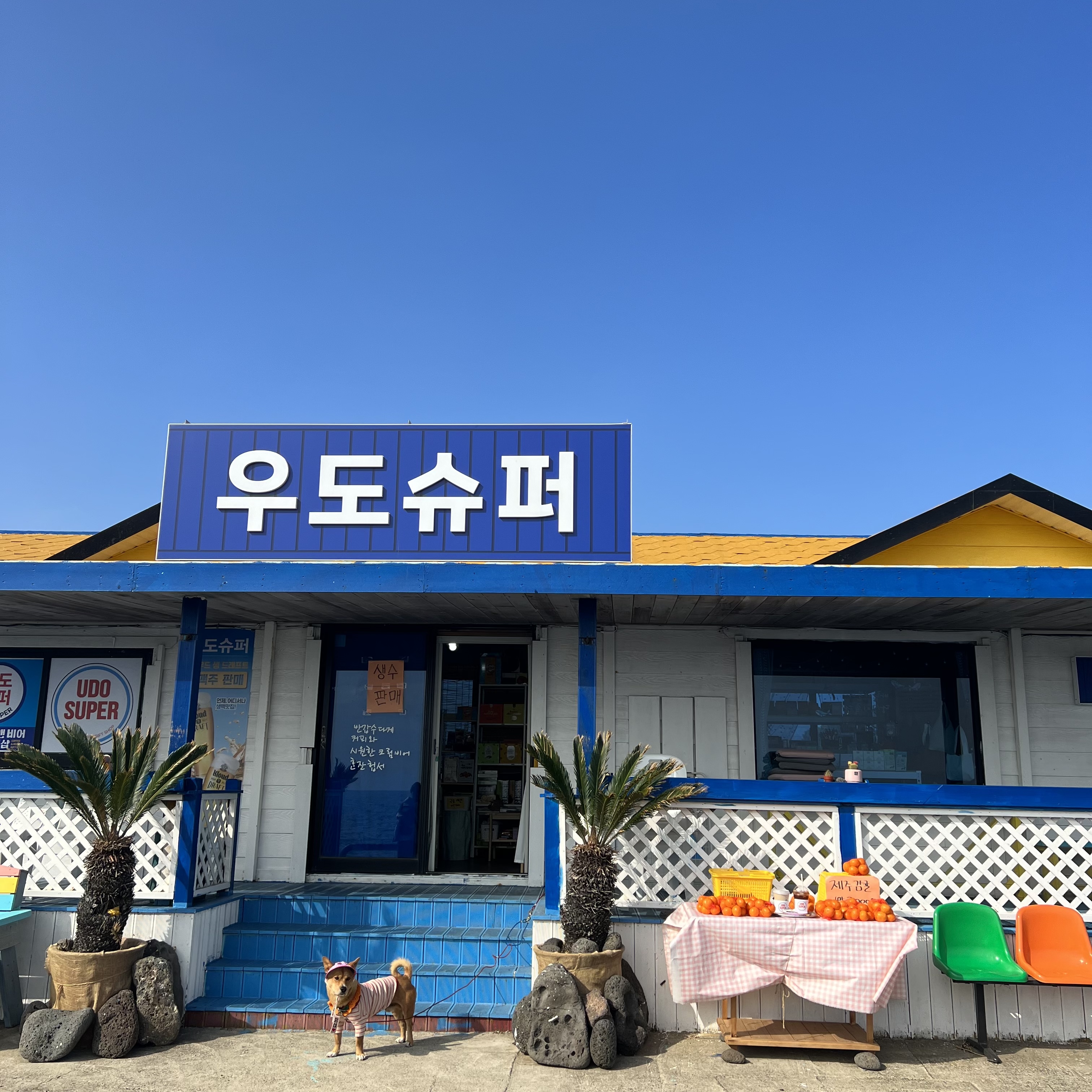 우도슈퍼