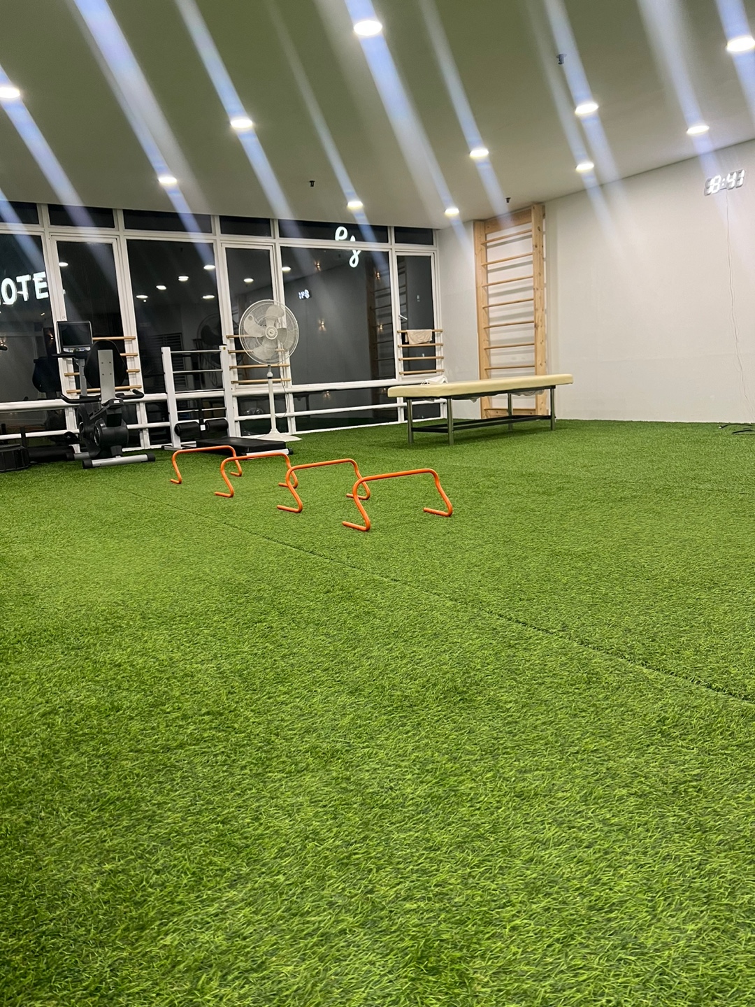 팀바디첵 대표 이미지