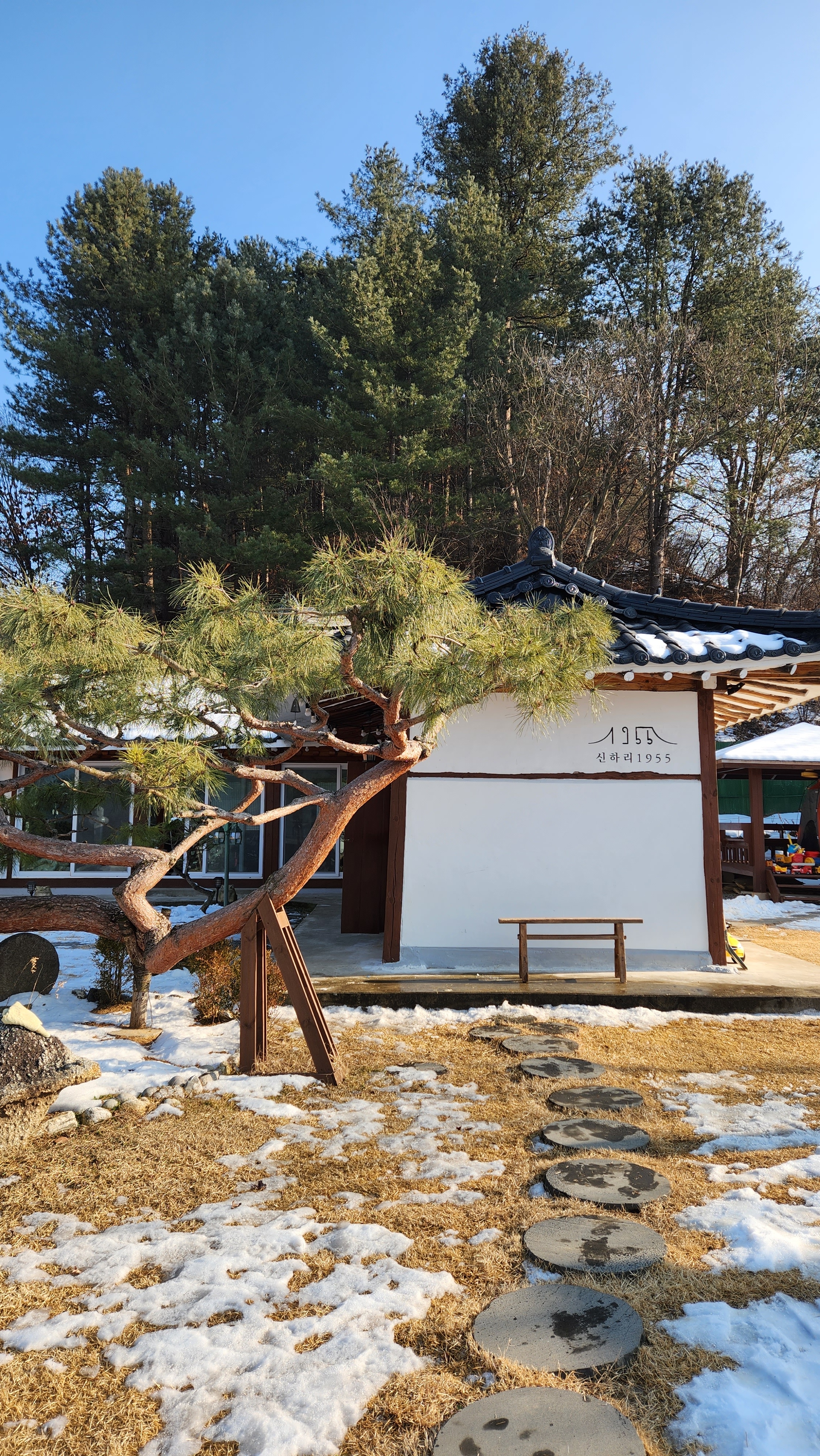 카페 신하리1955