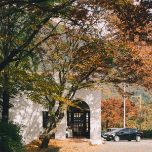 웨딩스위치 가창점 대표 이미지