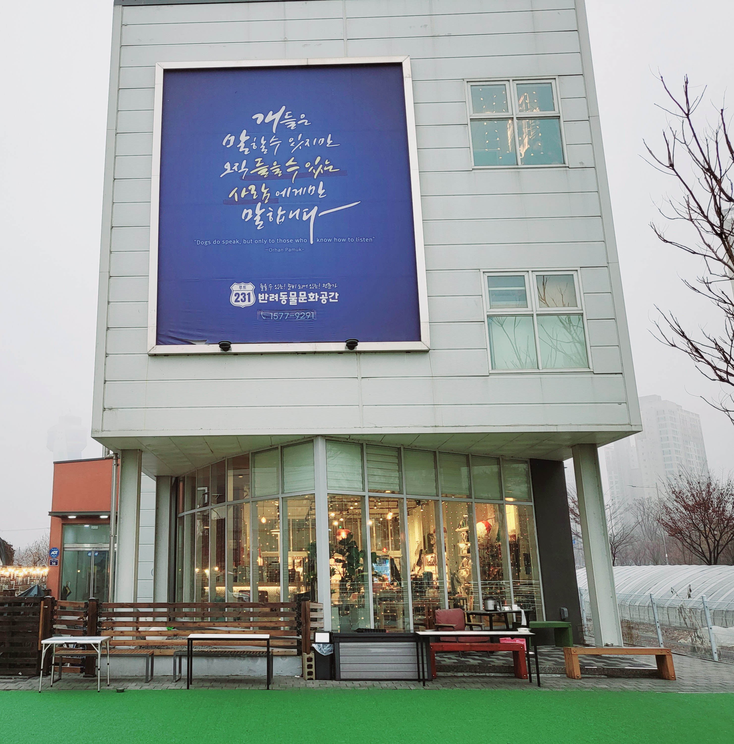 루트66 카페 경상 애견카페
