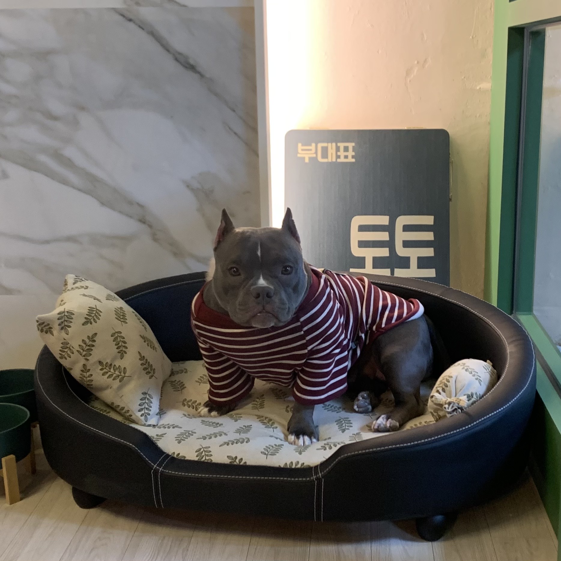 세무회계다솜 대표 이미지