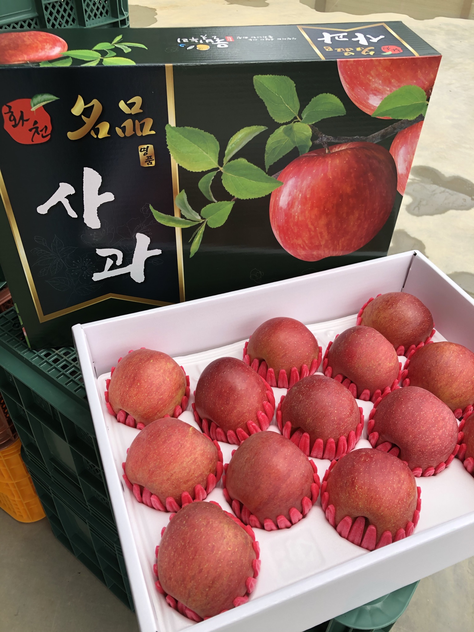 다목사과농원