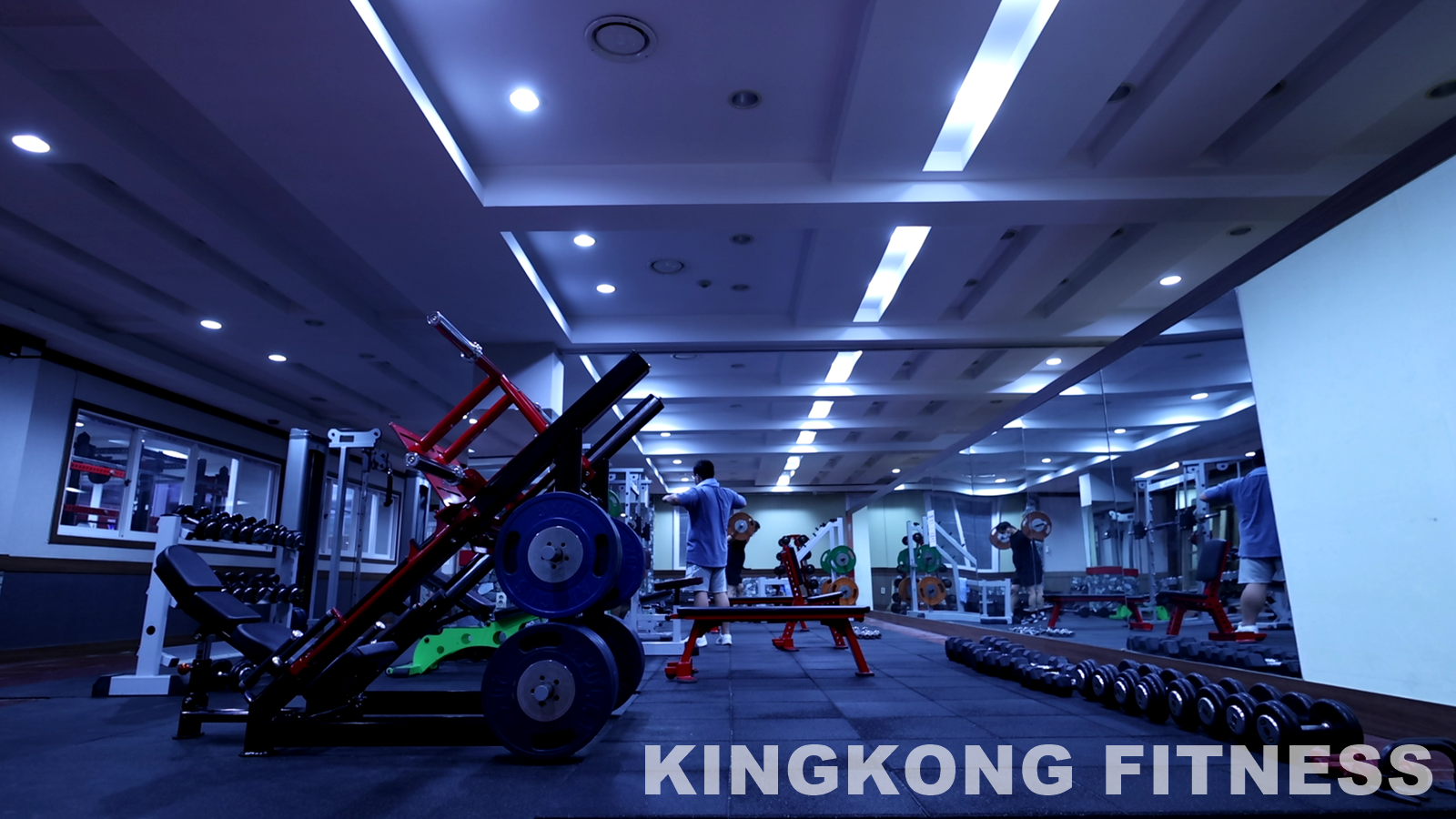 킹콩휘트니스 대표 이미지