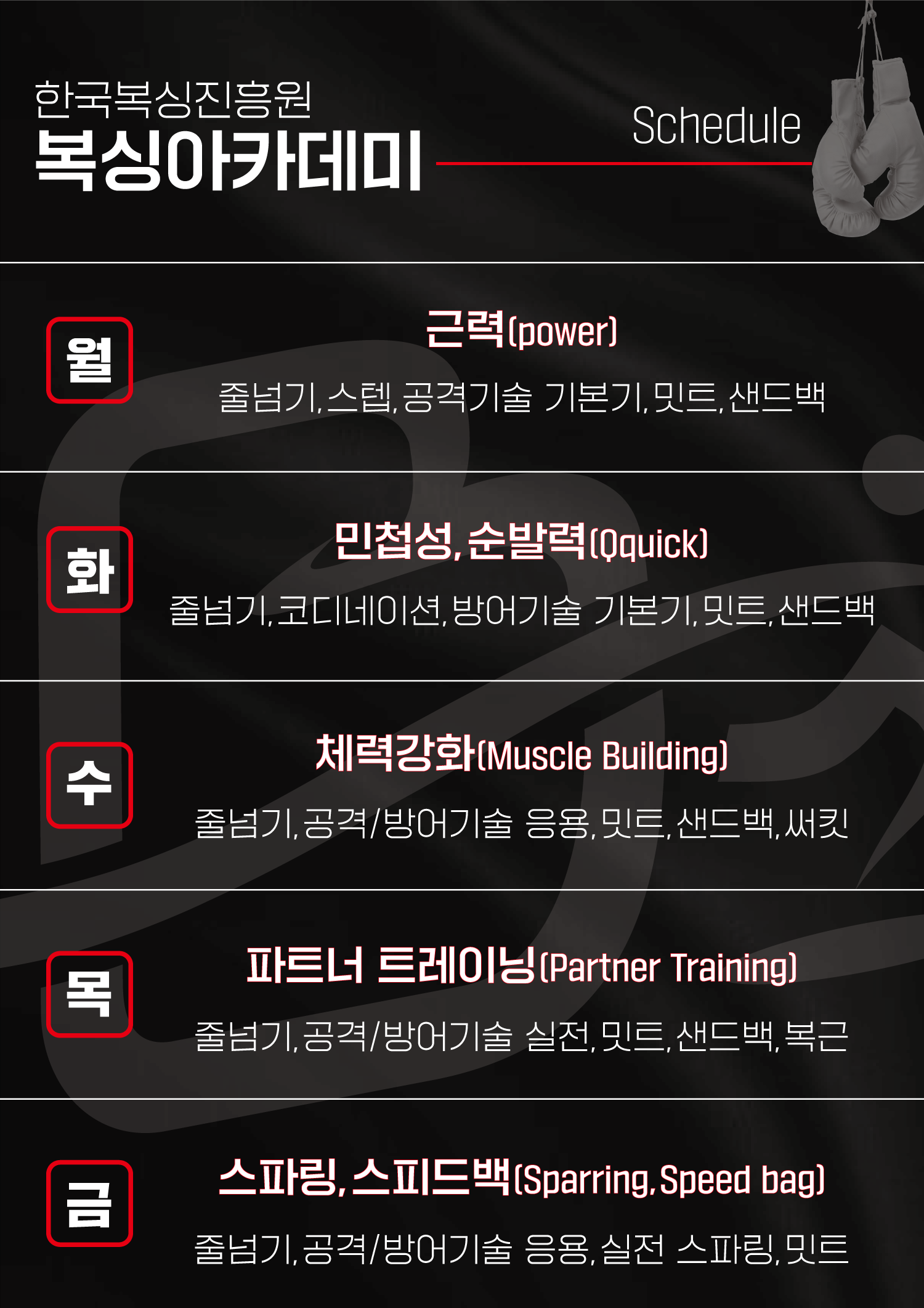 경기도 용인시 처인구 복싱체육관 한국복싱진흥원 복싱아카데미 김량장점 내부 모습 3